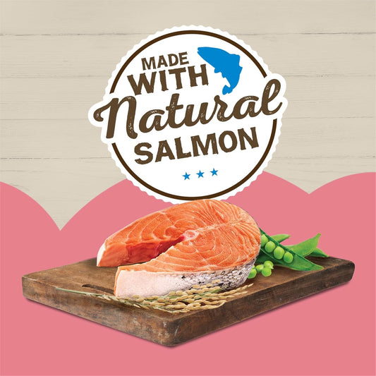 Purina Wet Cat Food Pate Ocean Favorites with Natural Salmon, Brown Rice and Peas - (Pack of 24) 5.5 Oz. Cans