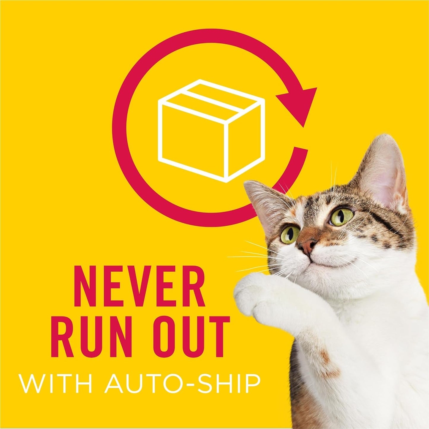 Purina Wet Cat Food Pate, Poultry Platter - (Pack of 24) 5.5 Oz. Cans