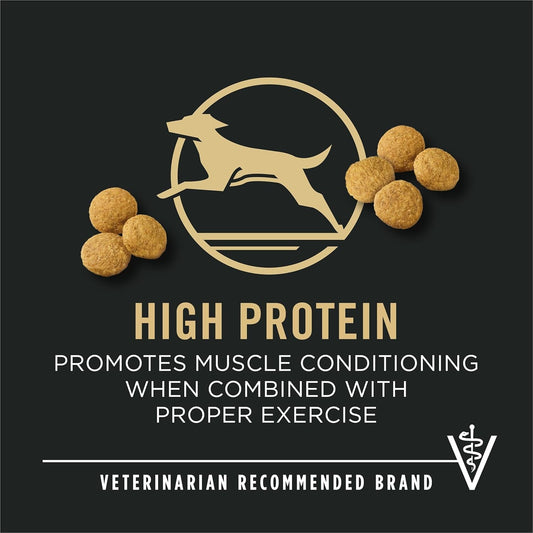 High Protein, Digestive Health Large Breed Dog Food Dry, Chicken and Rice Formula - 34 Lb. Bag