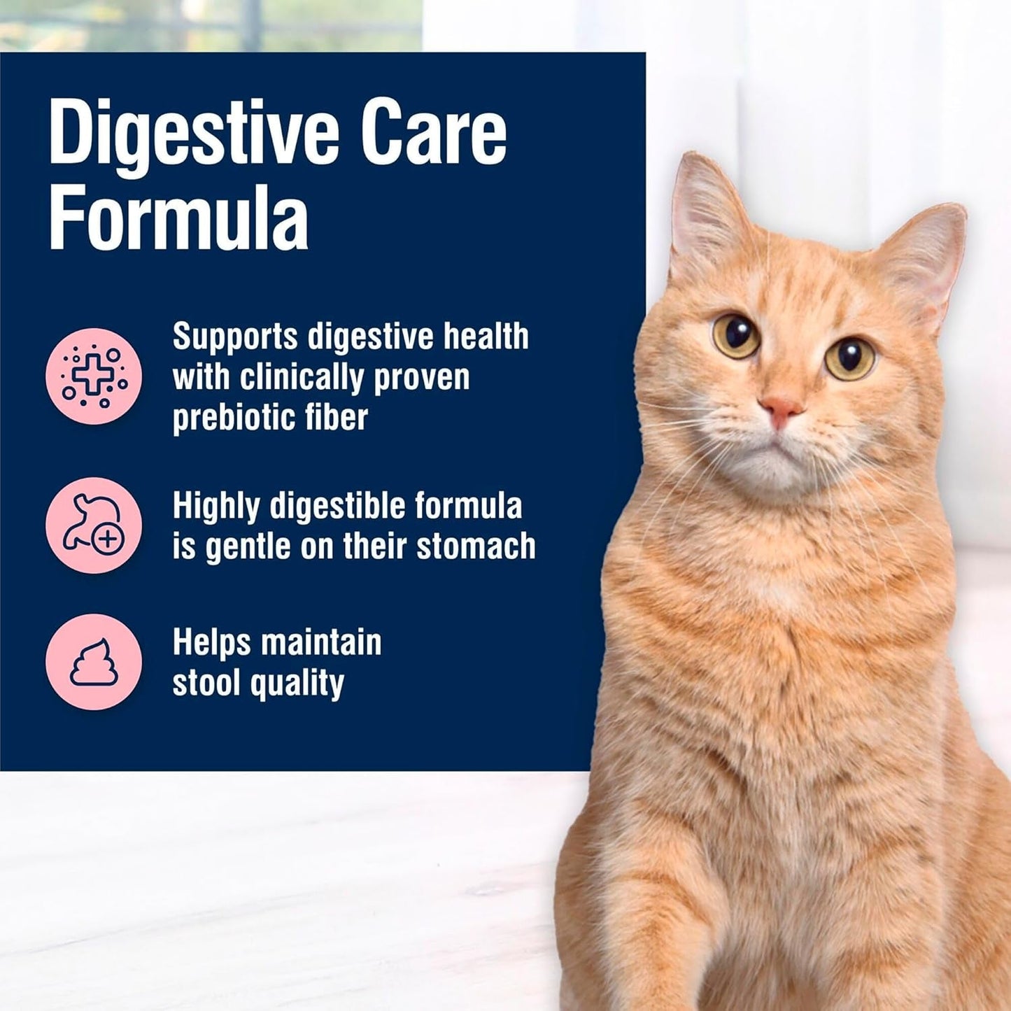 True Solutions Digestive Care Natural Dry Cat Food for Adult Cats, Chicken, 11-Lb. Bag