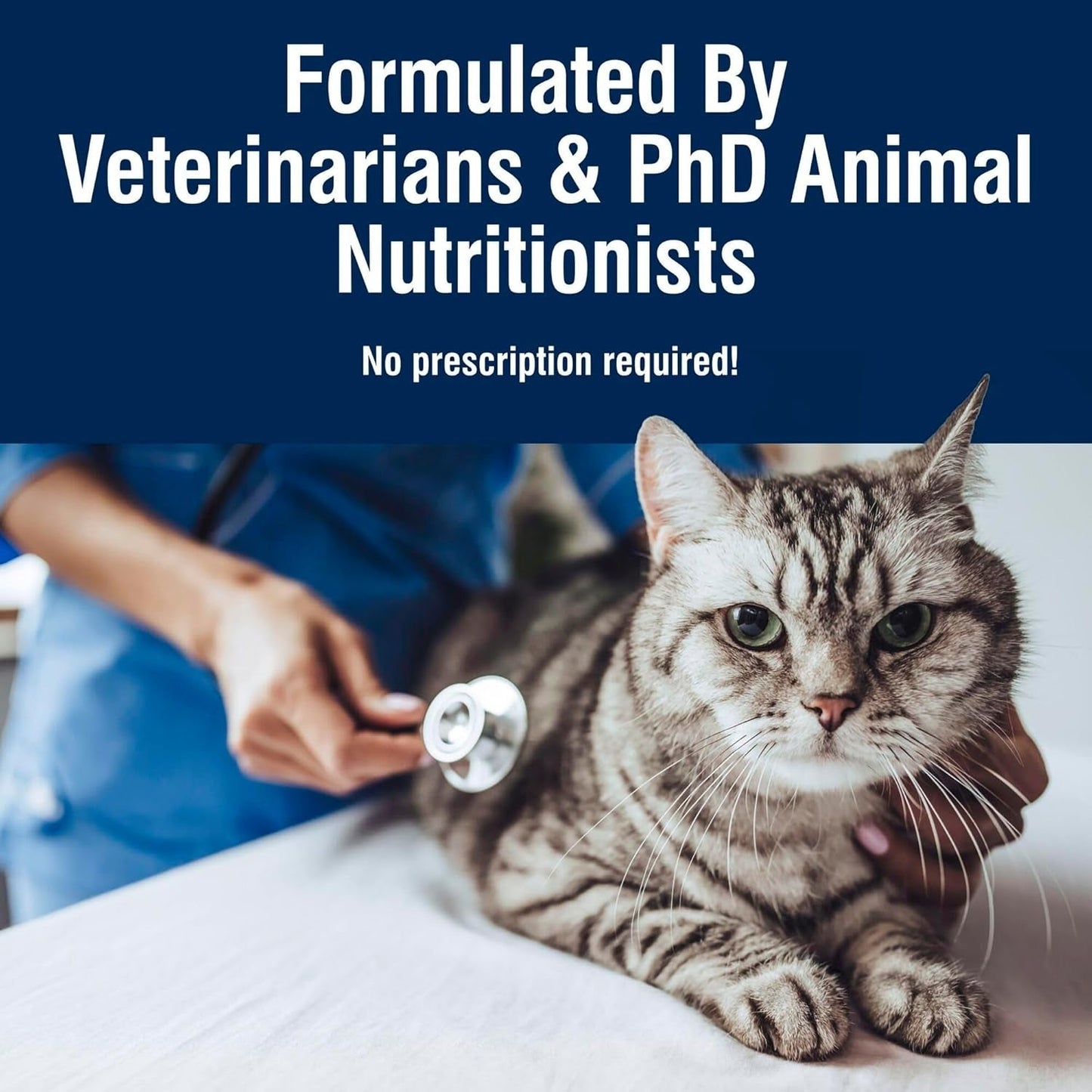 True Solutions Digestive Care Wet Cat Food for Adult Cats, Made with Natural Ingredients, Chicken, 3-Oz. Cans (24 Count)