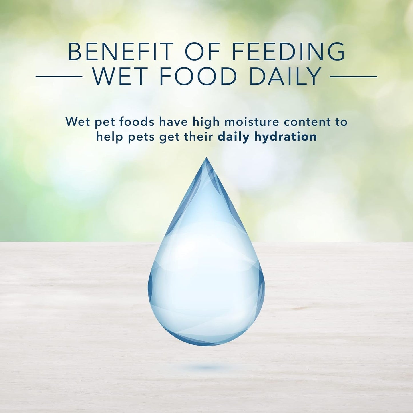 Freedom Grain Free Natural Adult Pate Wet Cat Food, Indoor Chicken 12.5-Oz Cans (Pack of 12)