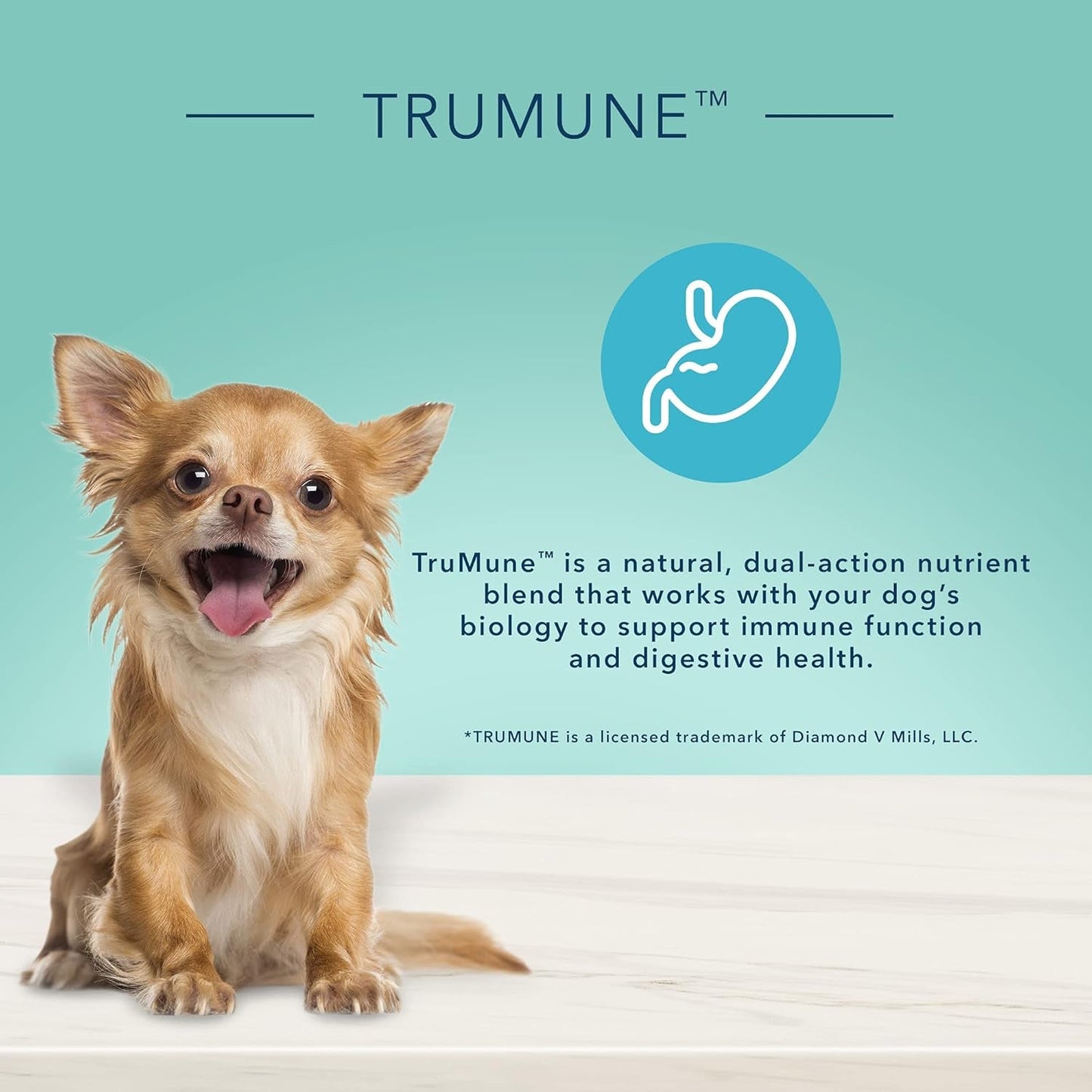 True Solutions Small & Mighty Natural Wet Food for Adult Small Breed Dogs, Chicken, 5.5-Oz Cans (24 Count)