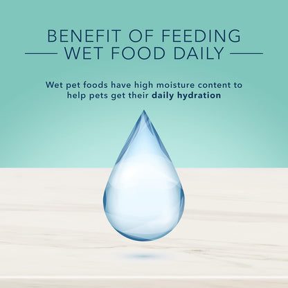 True Solutions Small & Mighty Natural Wet Food for Adult Small Breed Dogs, Chicken, 5.5-Oz Cans (24 Count)