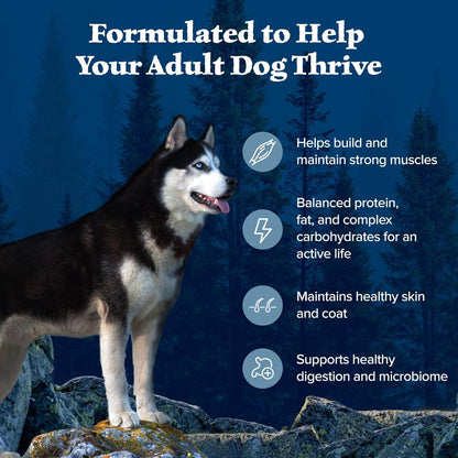 Blue Buffalo Wilderness Adult High-Protein Dry Dog Food with Real Chicken, Grain-Free, Made in the USA with Natural Ingredients, Chicken, 4.5-Lb. Bag (Pack of 2)