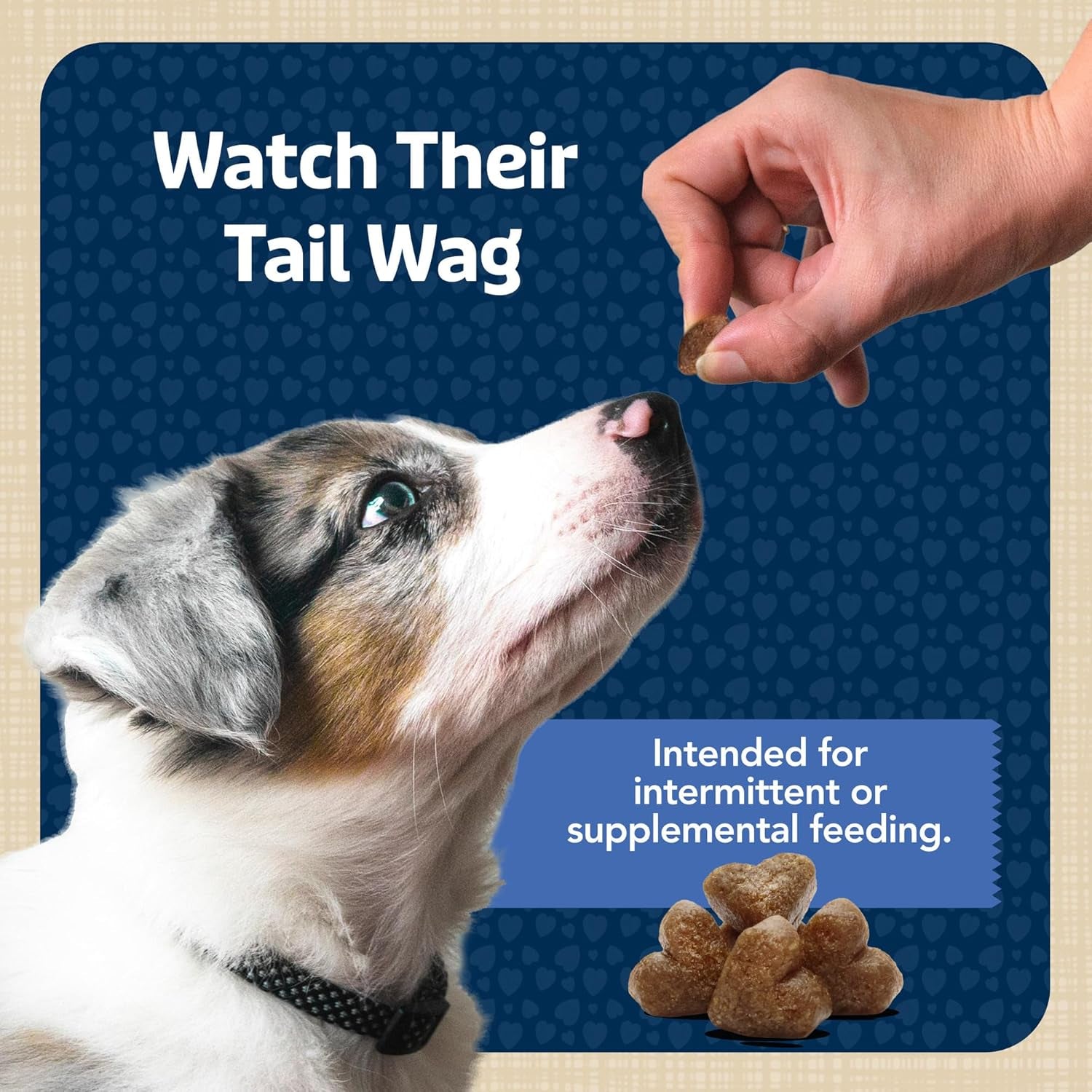 Bits Soft Dog Treats for Training, Made with Natural Ingredients & Enhanced with DHA, Chicken Recipe, 19-Oz Bag