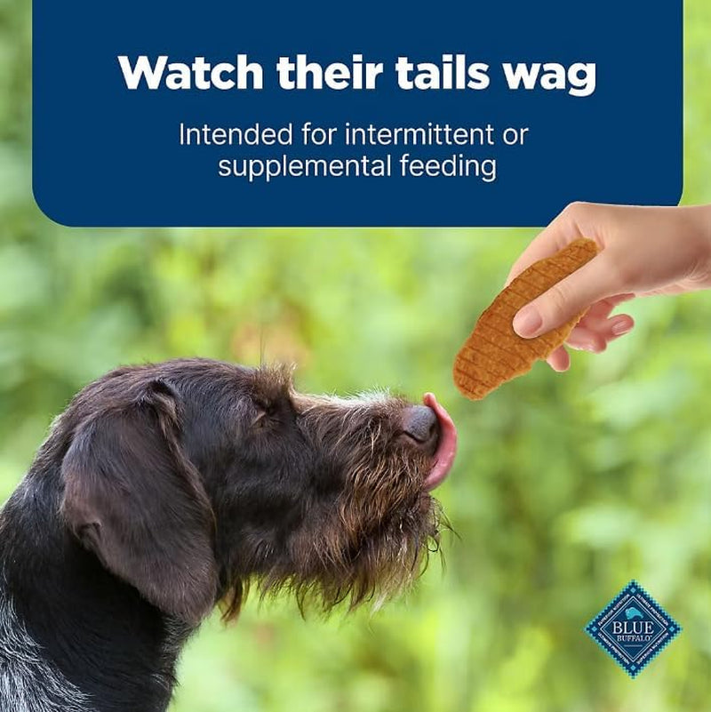 Nudges Jerky Cuts Natural Dog Treats - Chicken, 40 Oz