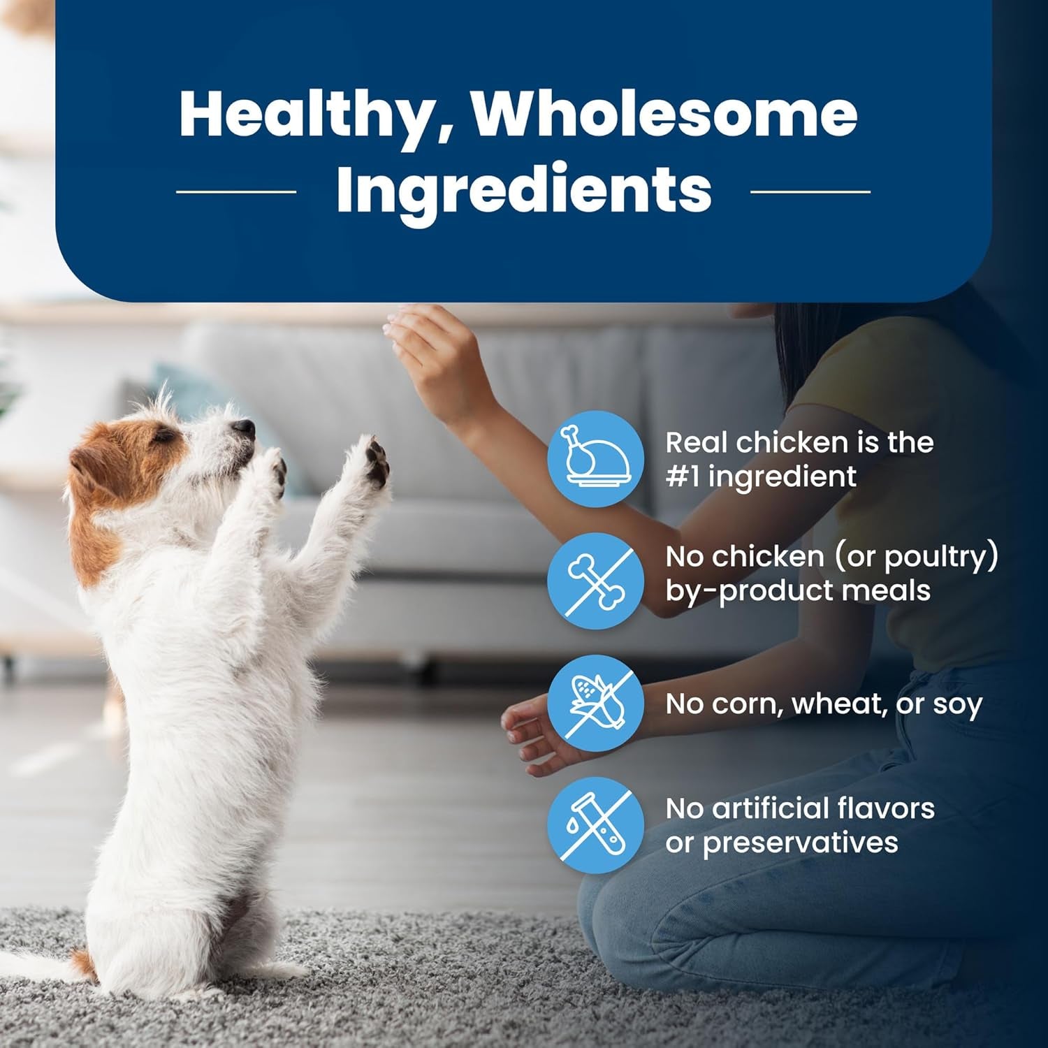 Life Protection Formula Puppy Dry Dog Food with DHA and ARA, Made with Natural Ingredients, Chicken & Brown Rice Recipe, 5-Lb Bag