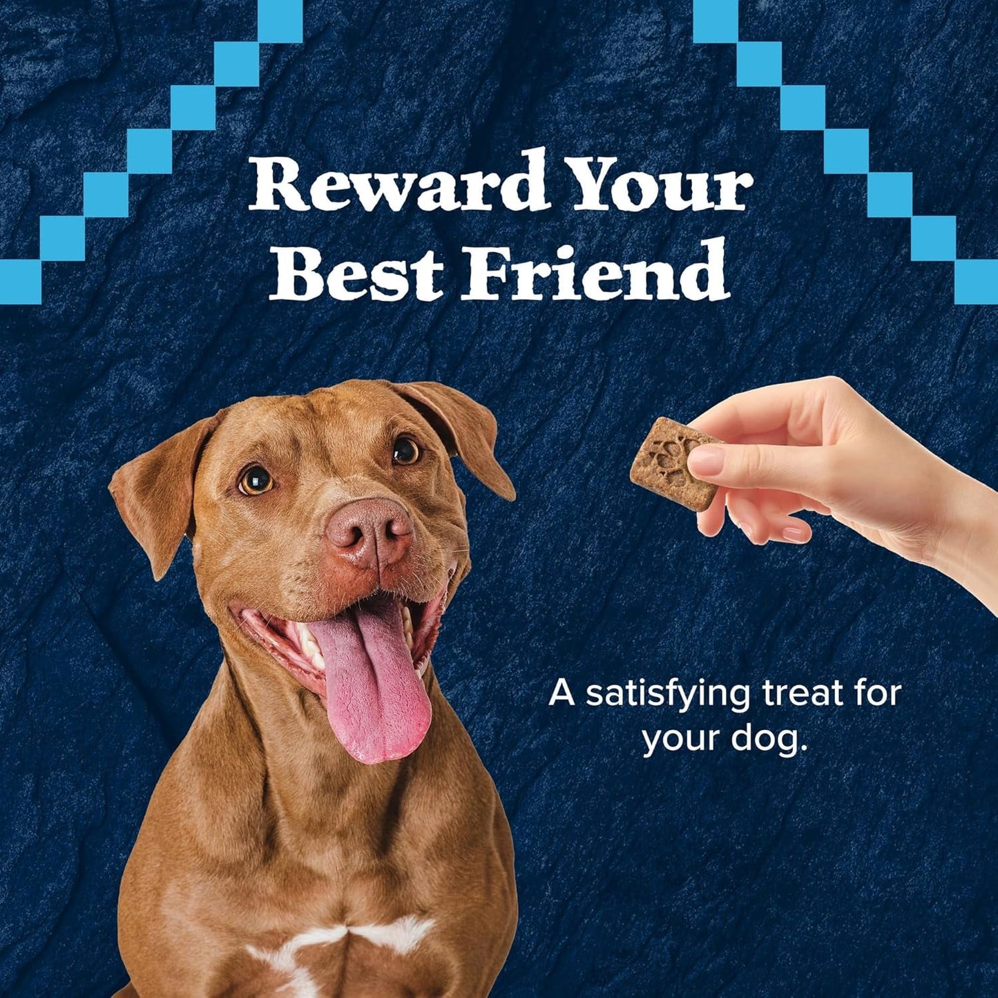 Wilderness Trail Treats High Protein Grain Free Dog Biscuits Crunchy Dog Treats, Duck Recipe, 24-Oz Bag