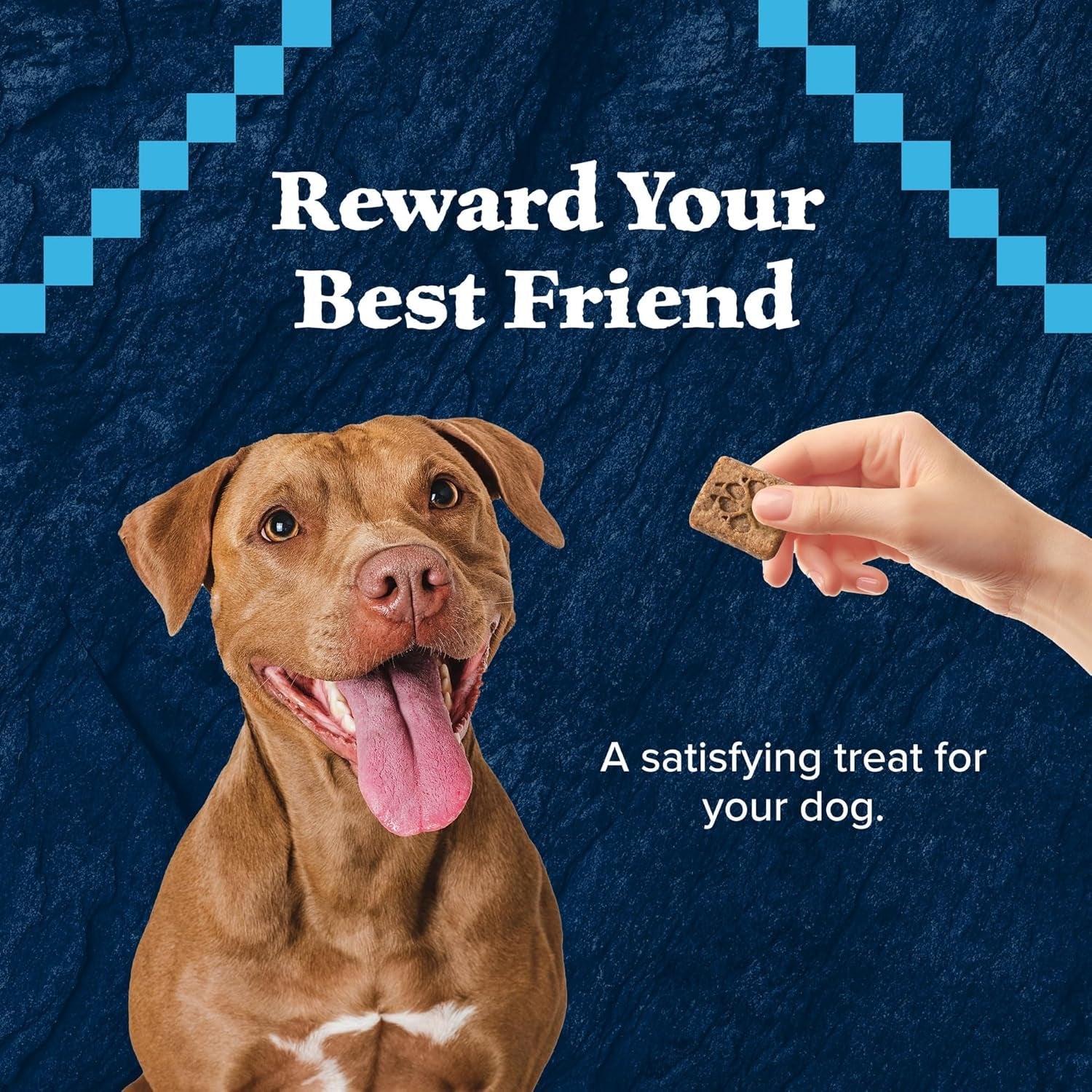 Wilderness Trail Treats High Protein Grain Free Dog Biscuits Crunchy Dog Treats, Duck Recipe, 24-Oz Bag