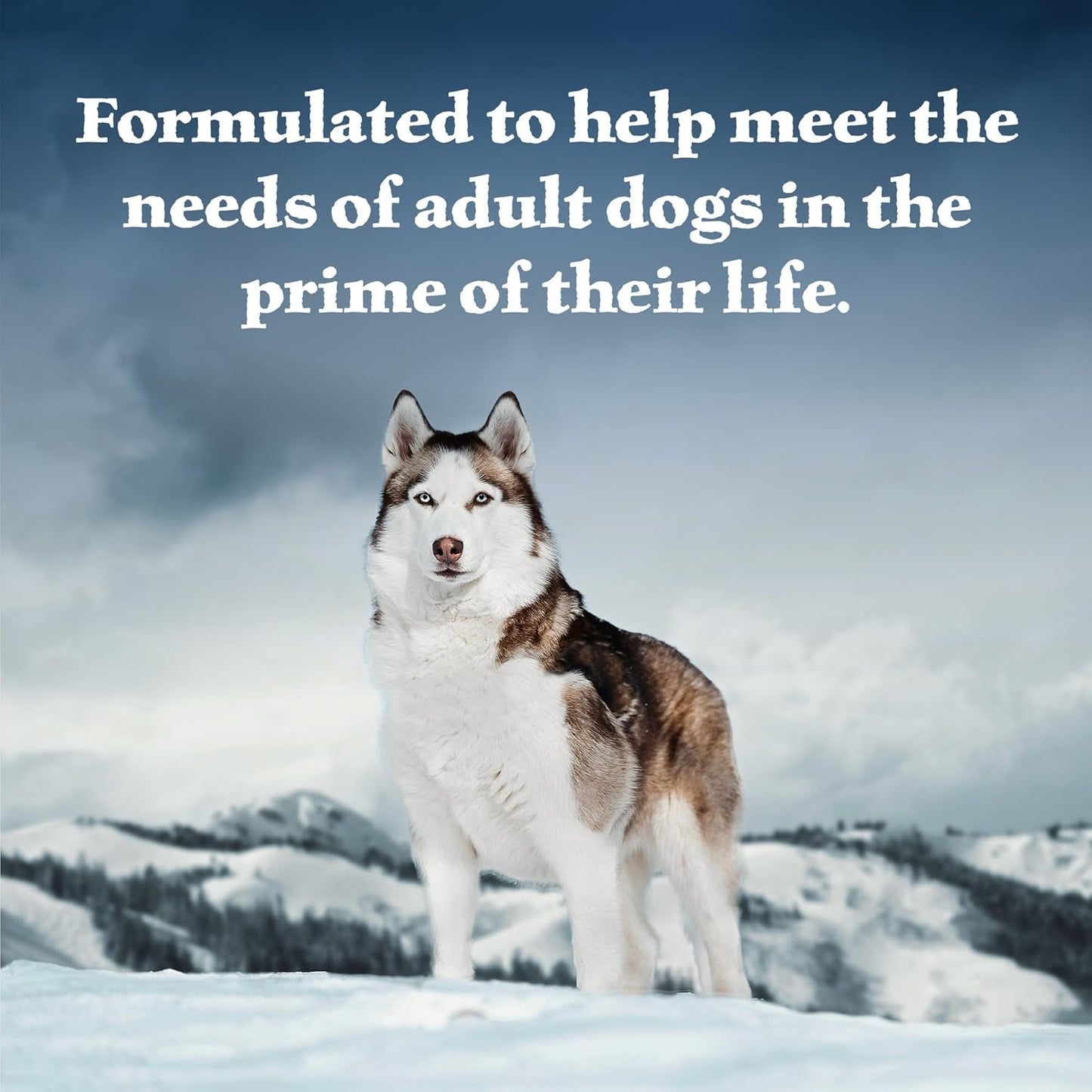 Wilderness Adult Wet Dog Food, High-Protein & Grain-Free, Made with Natural Ingredients, Beef & Chicken Grill, 12.5-Oz. Cans, 12 Count