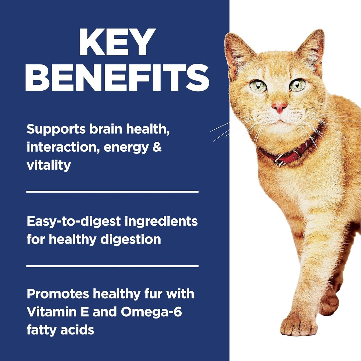 Senior Vitality Adult 7+ Dry Cat Food, Chicken & Rice, 3 Lb. Bag