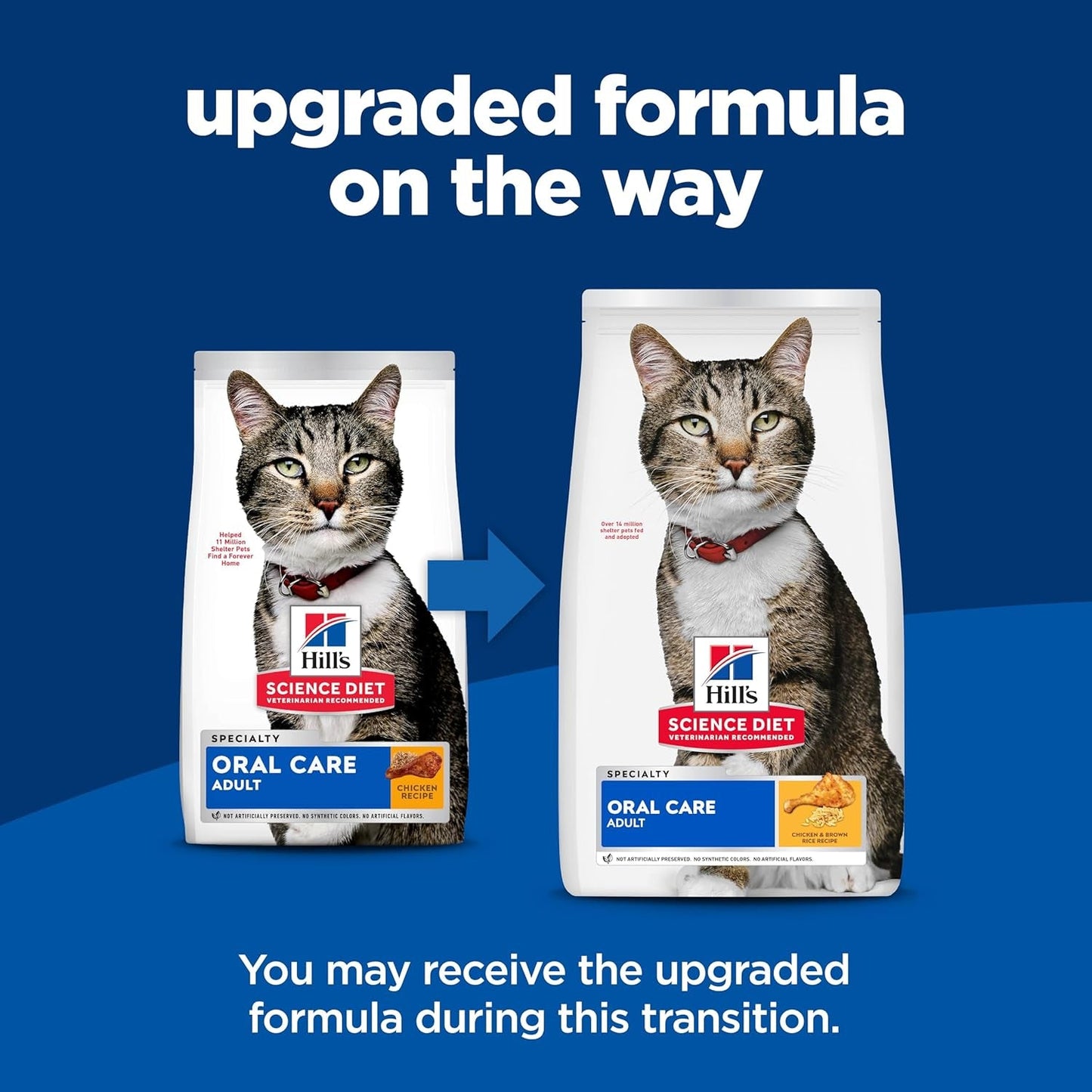 Oral Care, Adult 1-6, Plaque & Tartar Buildup Support, Dry Cat Food, Chicken Recipe, 7 Lb Bag