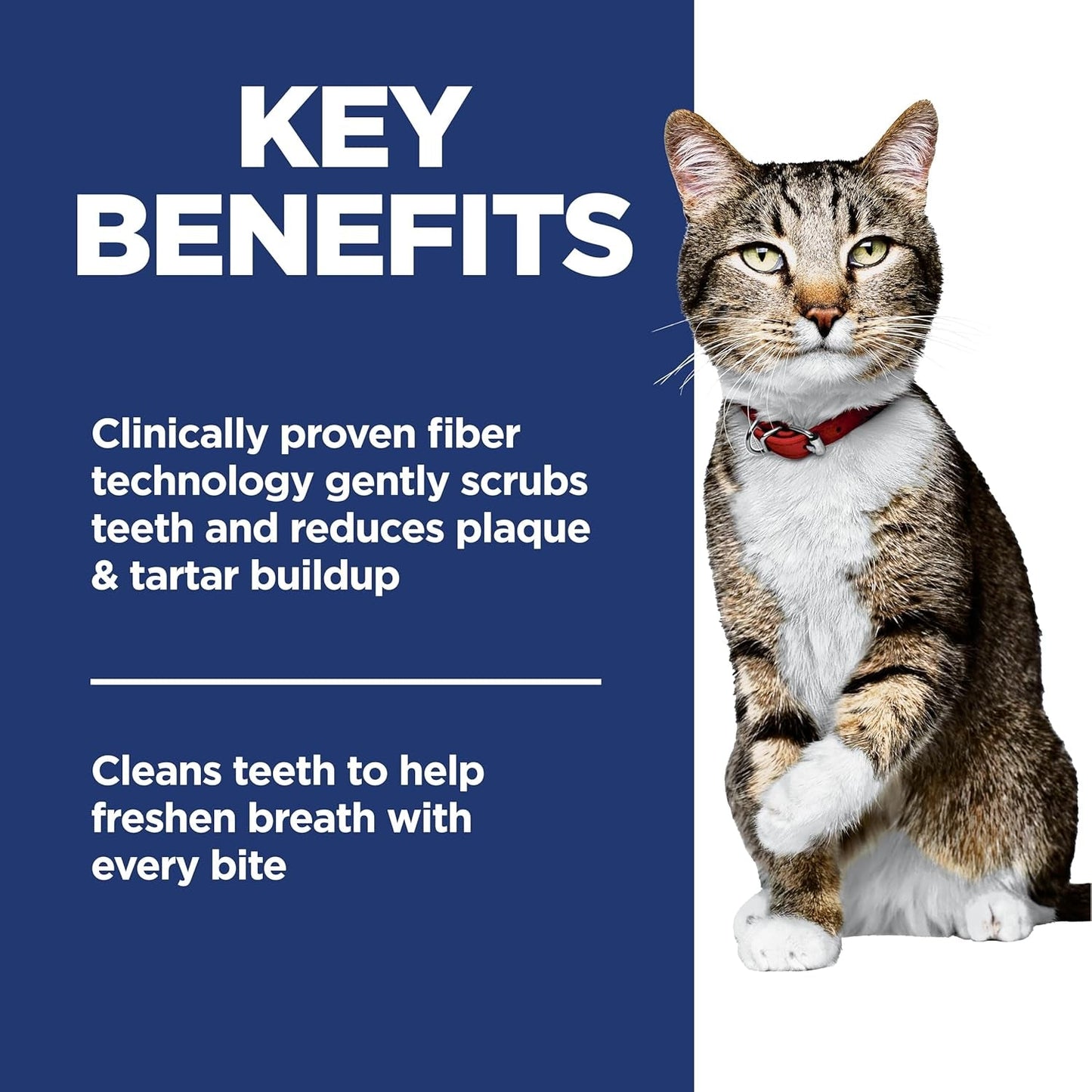 Oral Care, Adult 1-6, Plaque & Tartar Buildup Support, Dry Cat Food, Chicken Recipe, 7 Lb Bag