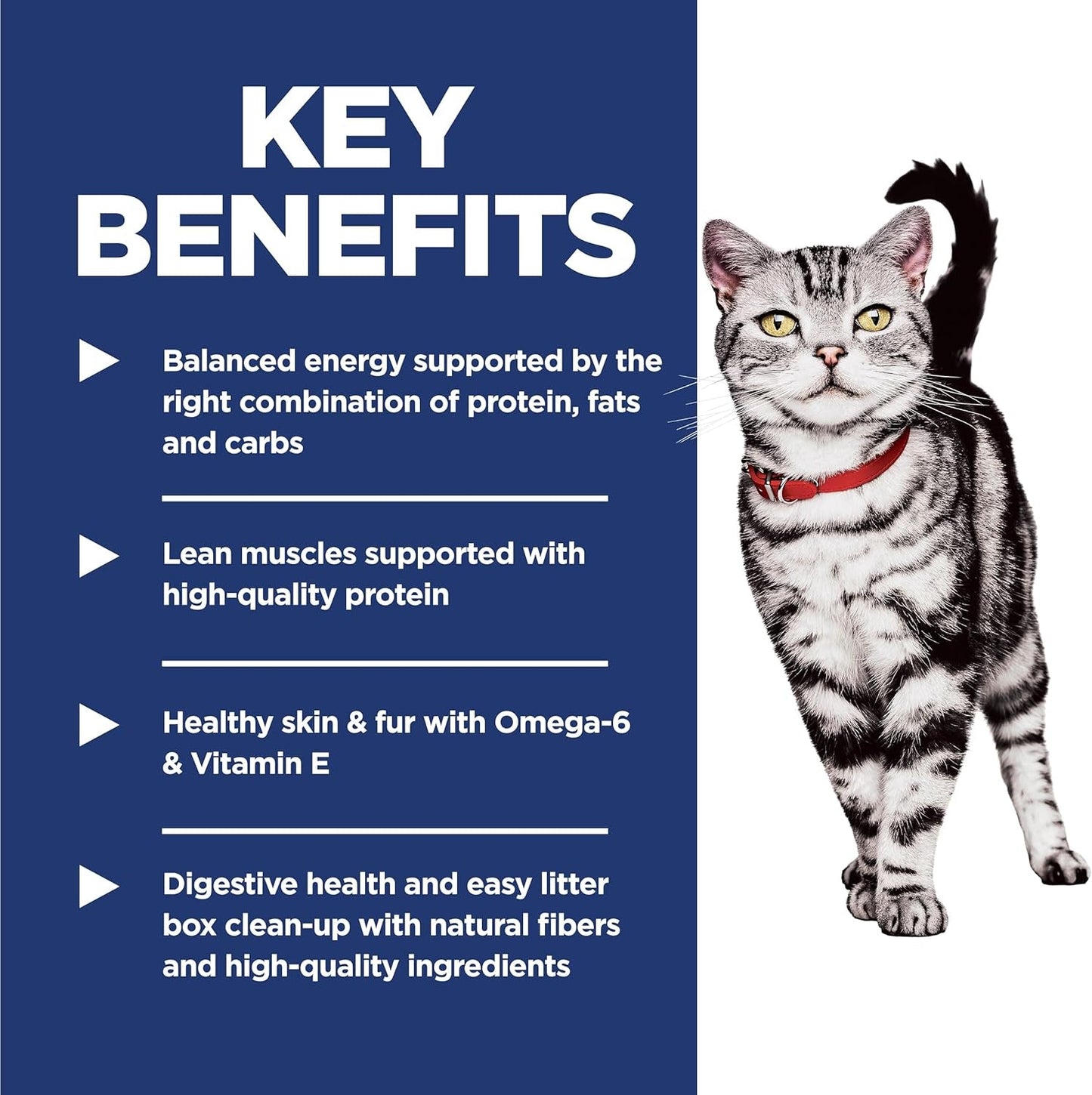 Indoor, Adult 1-6, Easy Litter Box Cleanup, Dry Cat Food, Chicken Recipe, 7 Lb Bag