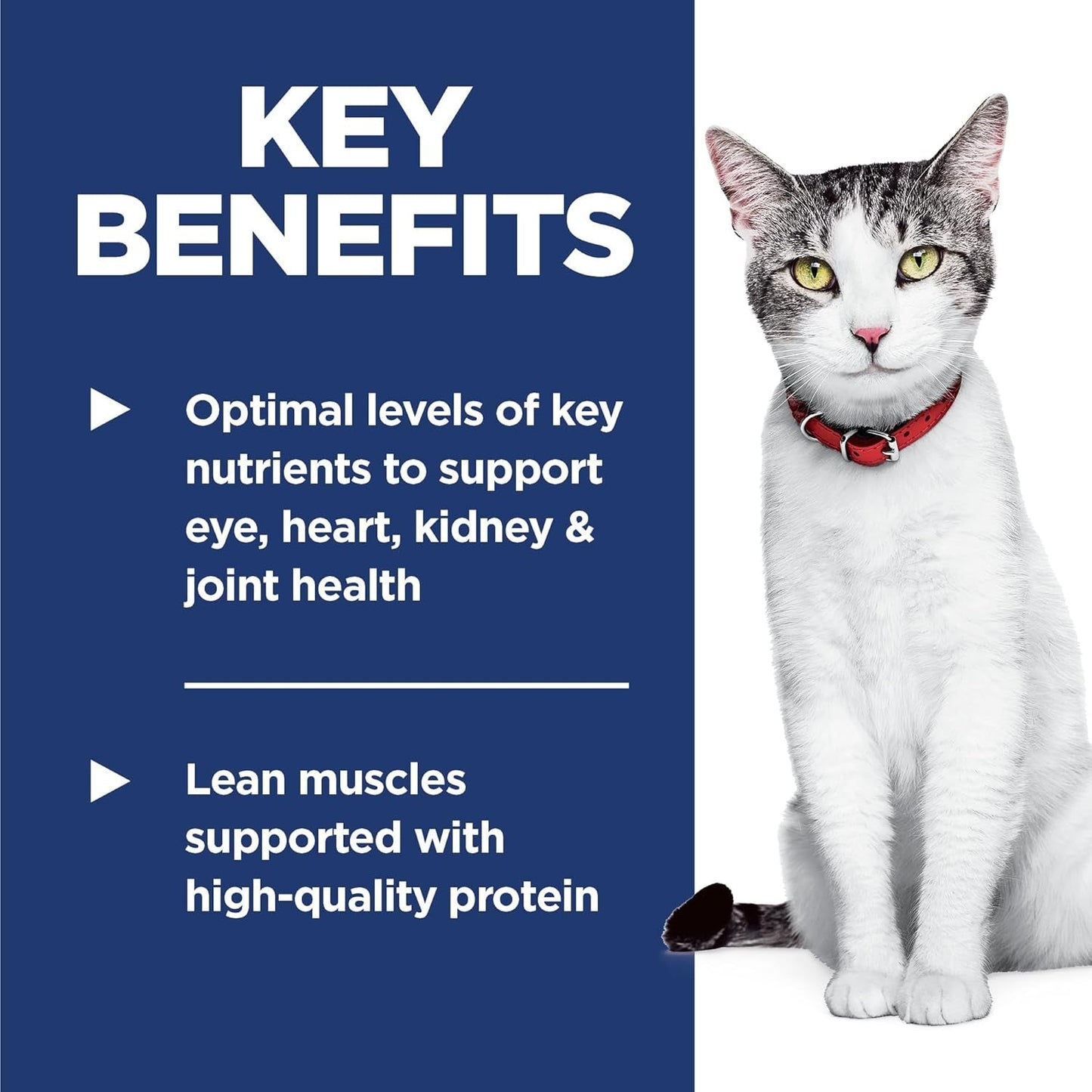 Adult 11+, Senior Adult 11+ Premium Nutrition, Dry Cat Food, Chicken Recipe, 3.5 Lb Bag