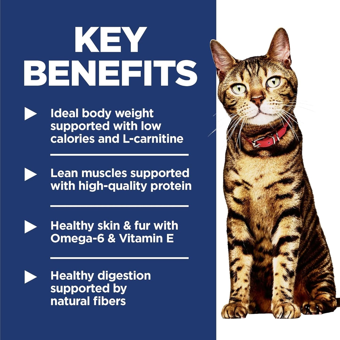 Light, Adult 1-6, Weight Management Support, Dry Cat Food, Chicken Recipe, 7 Lb Bag