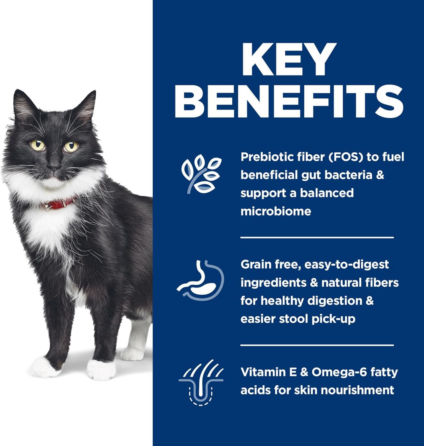 Sensitive Stomach & Skin, Adult 1-6, Stomach & Skin Sensitivity Support, Dry Cat Food, Grain Free Salmon & Yellow Peas, 13 Lb Bag