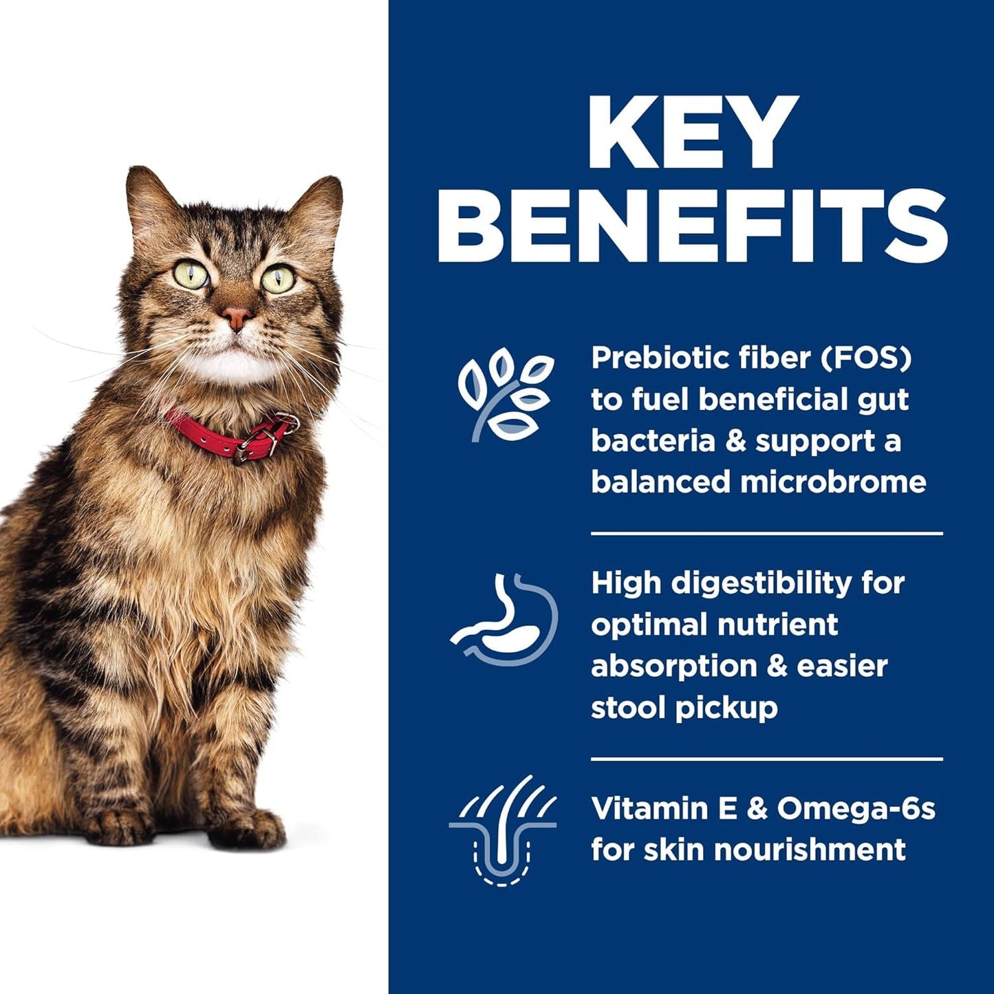 Sensitive Stomach & Skin, Adult 1-6, Stomach & Skin Sensitivity Support, Dry Cat Food, Chicken & Rice, 7 Lb Bag