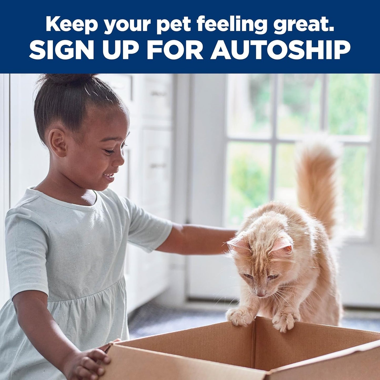 Multi-Benefit, Adult 1-6, Multiple Benefit, Dry Cat Food, Chicken Recipe, 7 Lb Bag