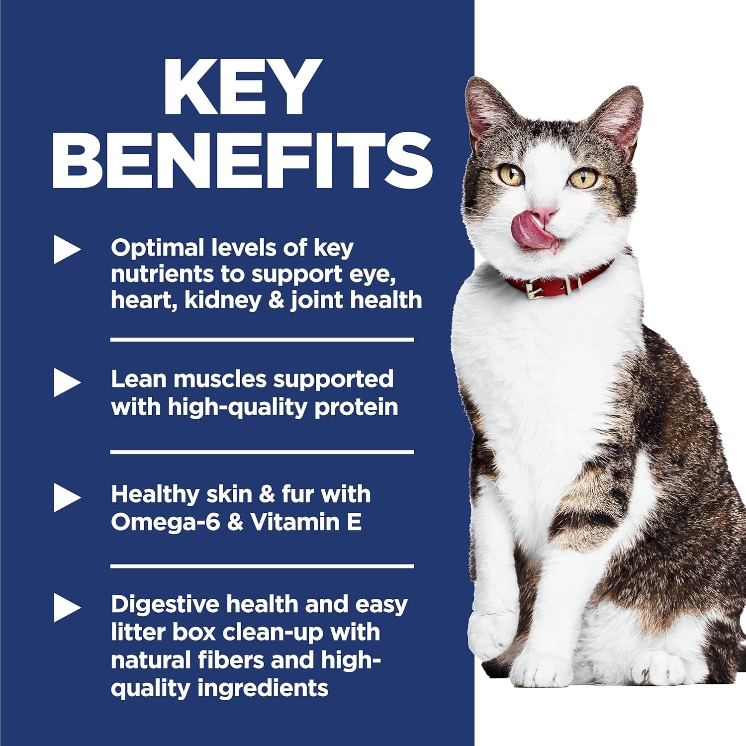 Indoor, Senior Adult 11+, Easy Litter Box Cleanup, Dry Cat Food, Chicken Recipe, 7 Lb Bag