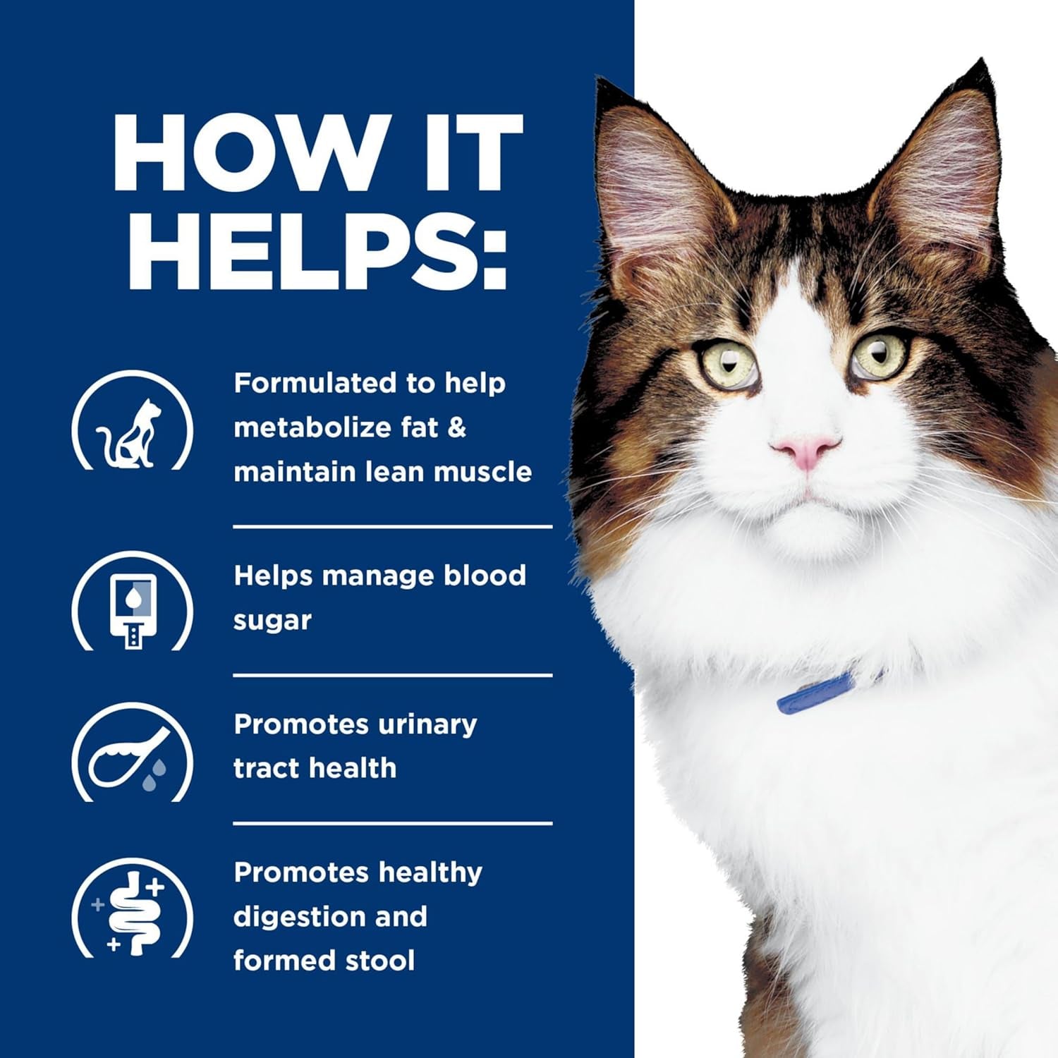 W/D Multi-Benefit Digestive/Weight/Glucose/Urinary Management with Chicken Wet Cat Food, Veterinary Diet, 5.5 Oz. Cans, 24-Pack