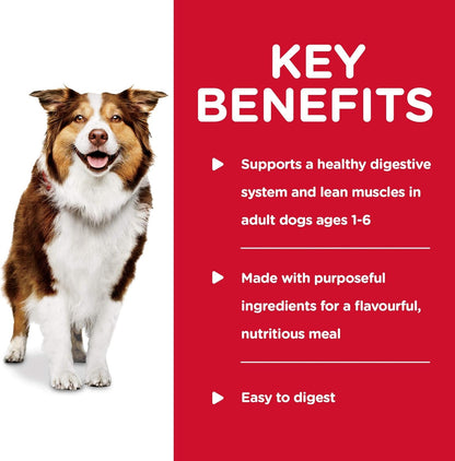 Healthy Cuisine, Adult 1-6, Great Taste, Wet Dog Food, Braised Beef, Carrots & Peas Stew, 12.5 Oz Can, Case of 12