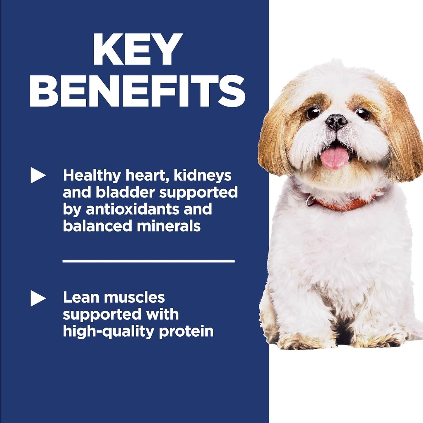 Adult 7+, Senior Adult 7+ Premium Nutrition, Small Kibble, Dry Dog Food, Chicken, Brown Rice, & Barley, 15 Lb Bag