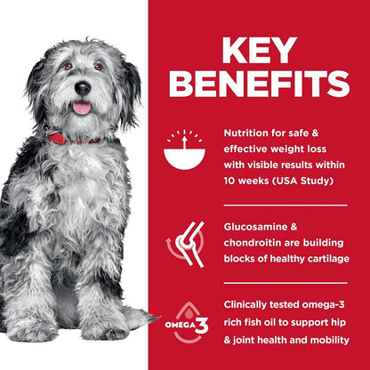 Perfect Weight & Joint Support, Adult 1-6, Weight Management & Joint Support, Dry Dog Food, Chicken & Brown Rice, 12 Lb Bag