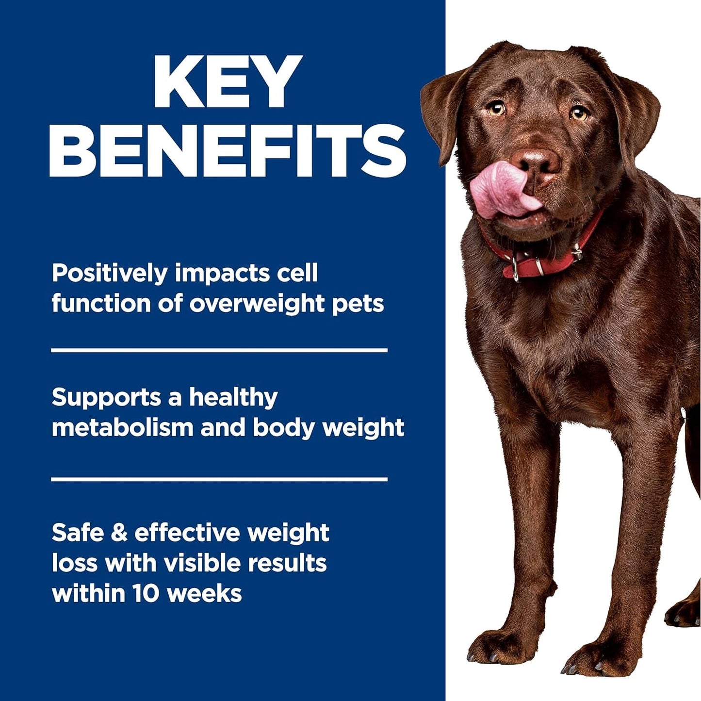 Perfect Weight Large Breed Adult Dry Dog Food 1-5, Quality Protein for Weight Management Support, Chicken Recipe, 25 Lb. Bag