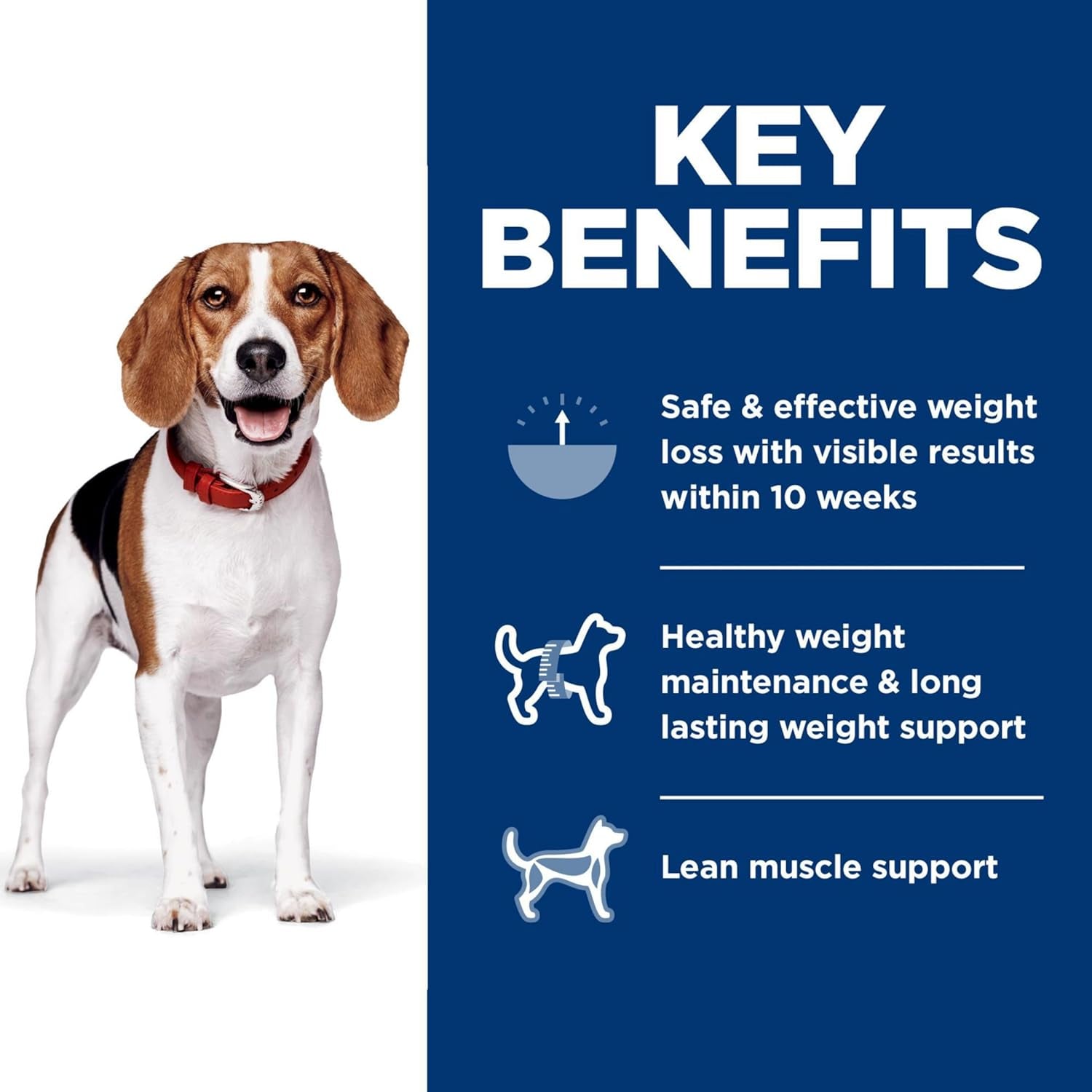 Perfect Weight, Adult 1-6, Weight Management Support, Small Kibble, Dry Dog Food, Chicken Recipe, 25 Lb Bag