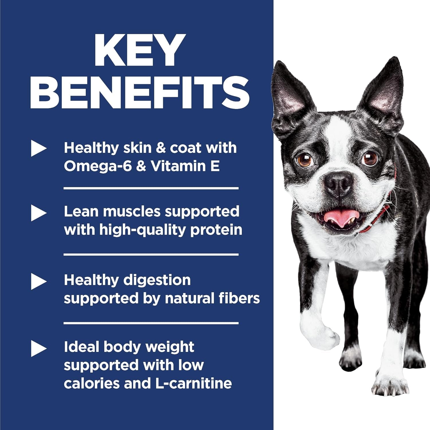 Light , Adult 1-6, Weight Management Support, Small Kibble, Dry Dog Food, Chicken & Barley, 5 Lb Bag