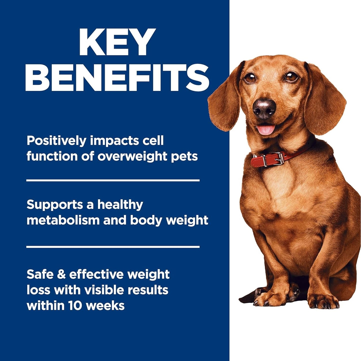 Perfect Weight, Adult 1-6, Small & Mini Breeds Weight Management Support, Dry Dog Food, Chicken Recipe, 4 Lb Bag