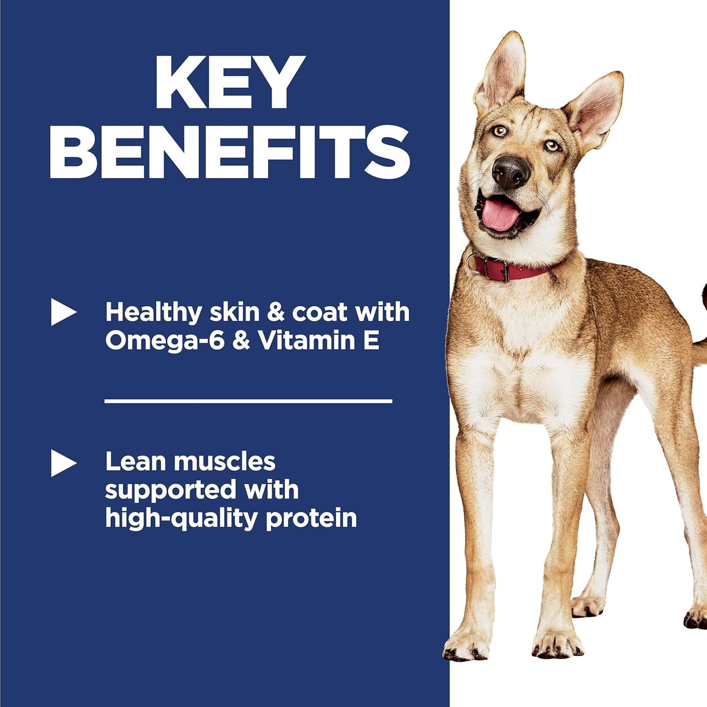 Adult 1-6, Adult 1-6 Premium Nutrition, Dry Dog Food, Chicken & Barley, 5 Lb Bag