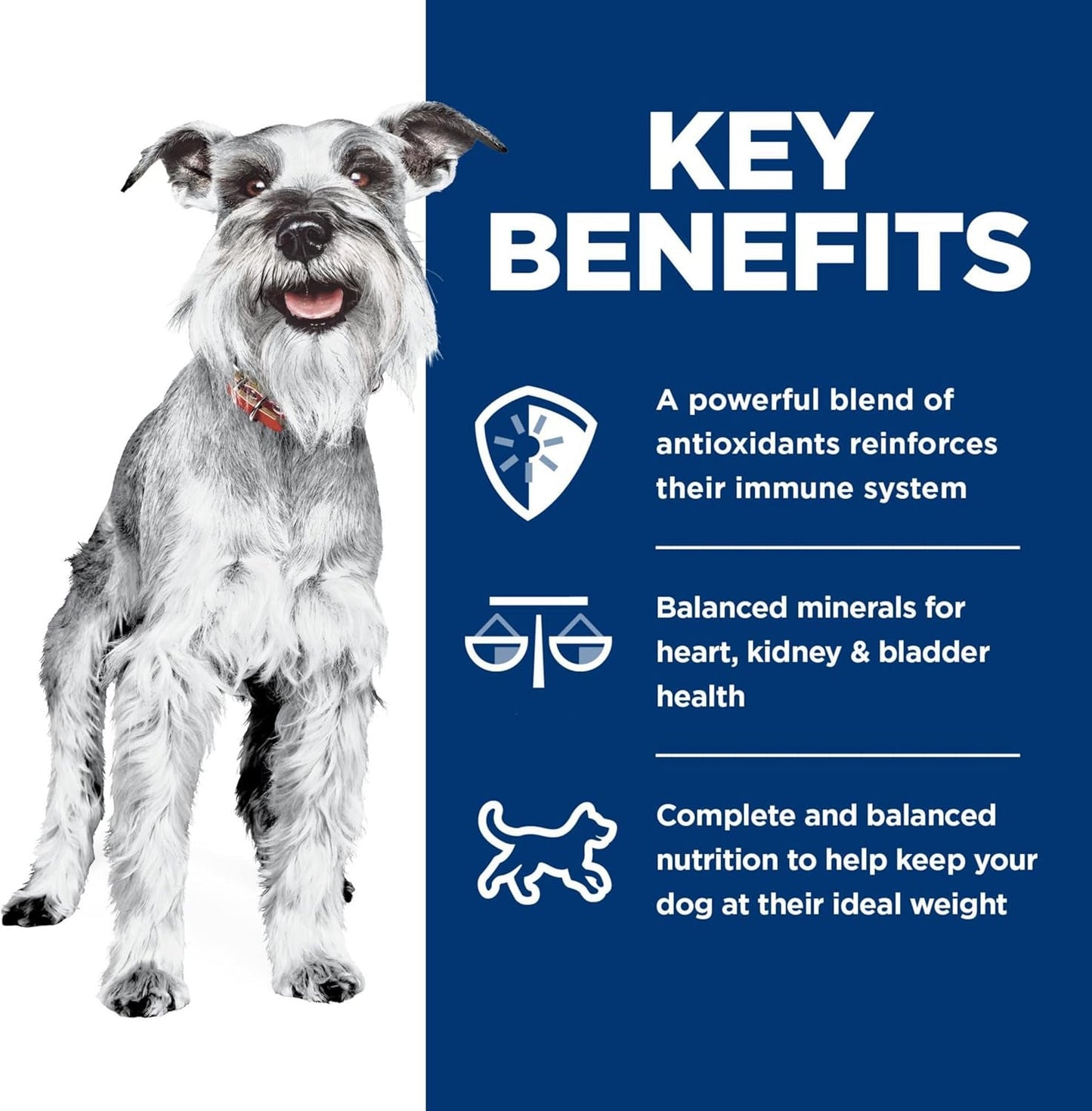 Small & Mini, Senior Adult 7+, Small & Mini Breeds Senior Premium Nutrition, Wet Dog Food, Chicken & Vegetables Stew, 3.5 Oz Tray, Case of 12