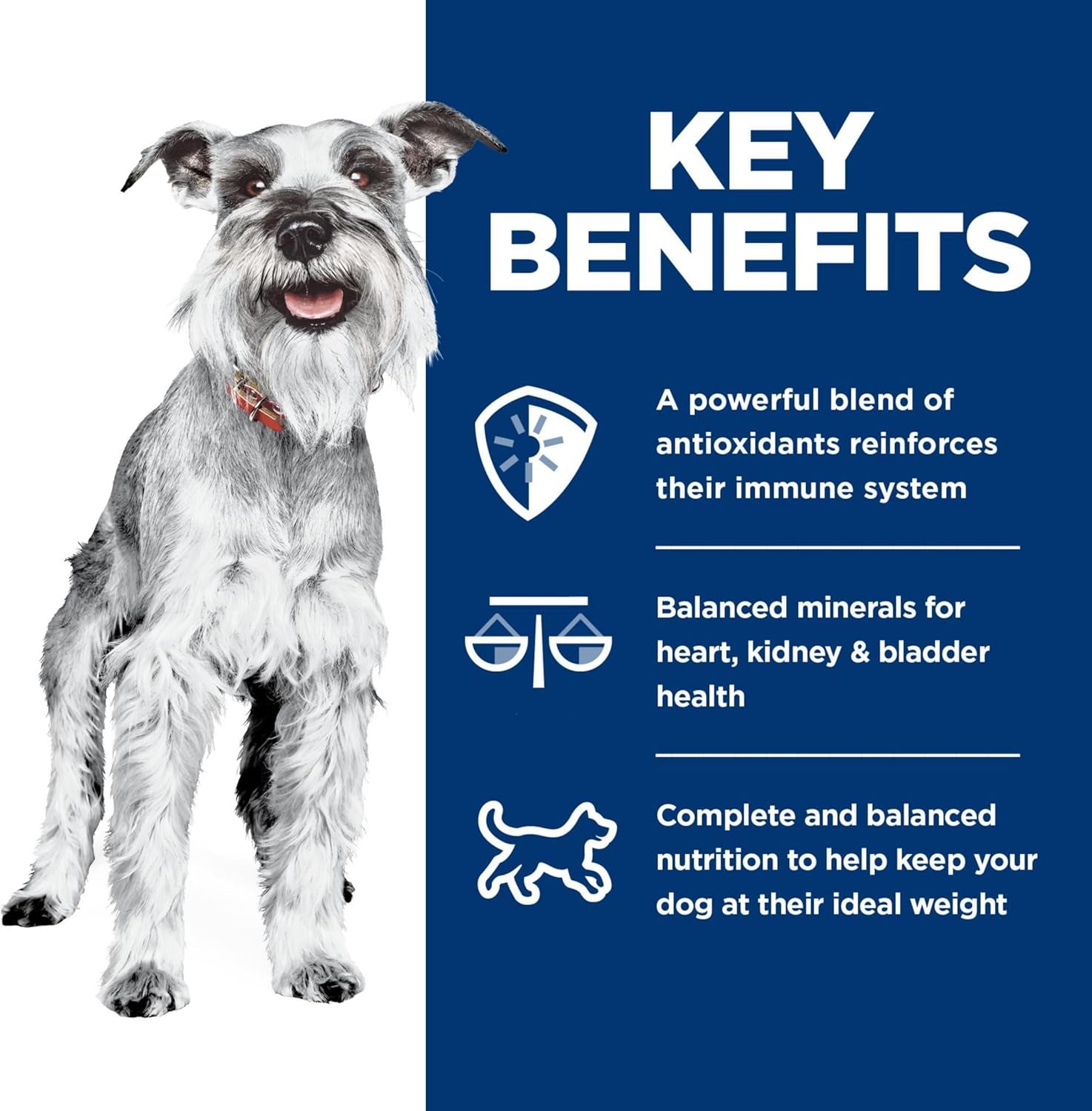 Small & Mini, Senior Adult 7+, Small & Mini Breeds Senior Premium Nutrition, Wet Dog Food, Chicken & Vegetables Stew, 3.5 Oz Tray, Case of 12