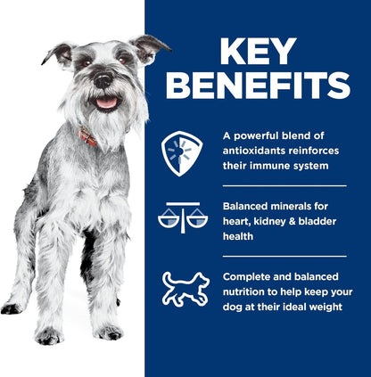 Small & Mini, Senior Adult 7+, Small & Mini Breeds Senior Premium Nutrition, Wet Dog Food, Chicken & Vegetables Stew, 3.5 Oz Tray, Case of 12