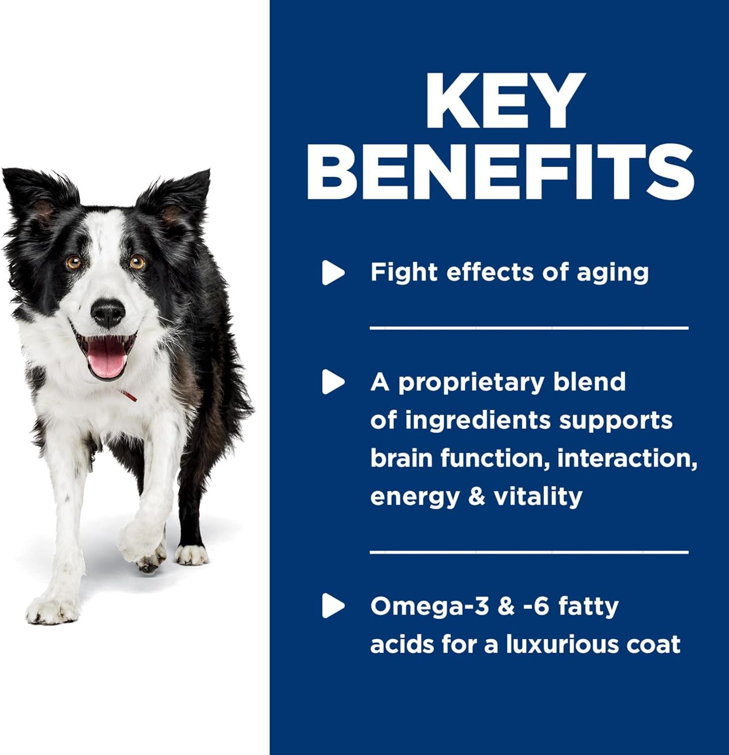 Senior Vitality Adult 7+ Wet Dog Food, Chicken & Vegetable Stew, 12.5 Oz. Cans, 12-Pack