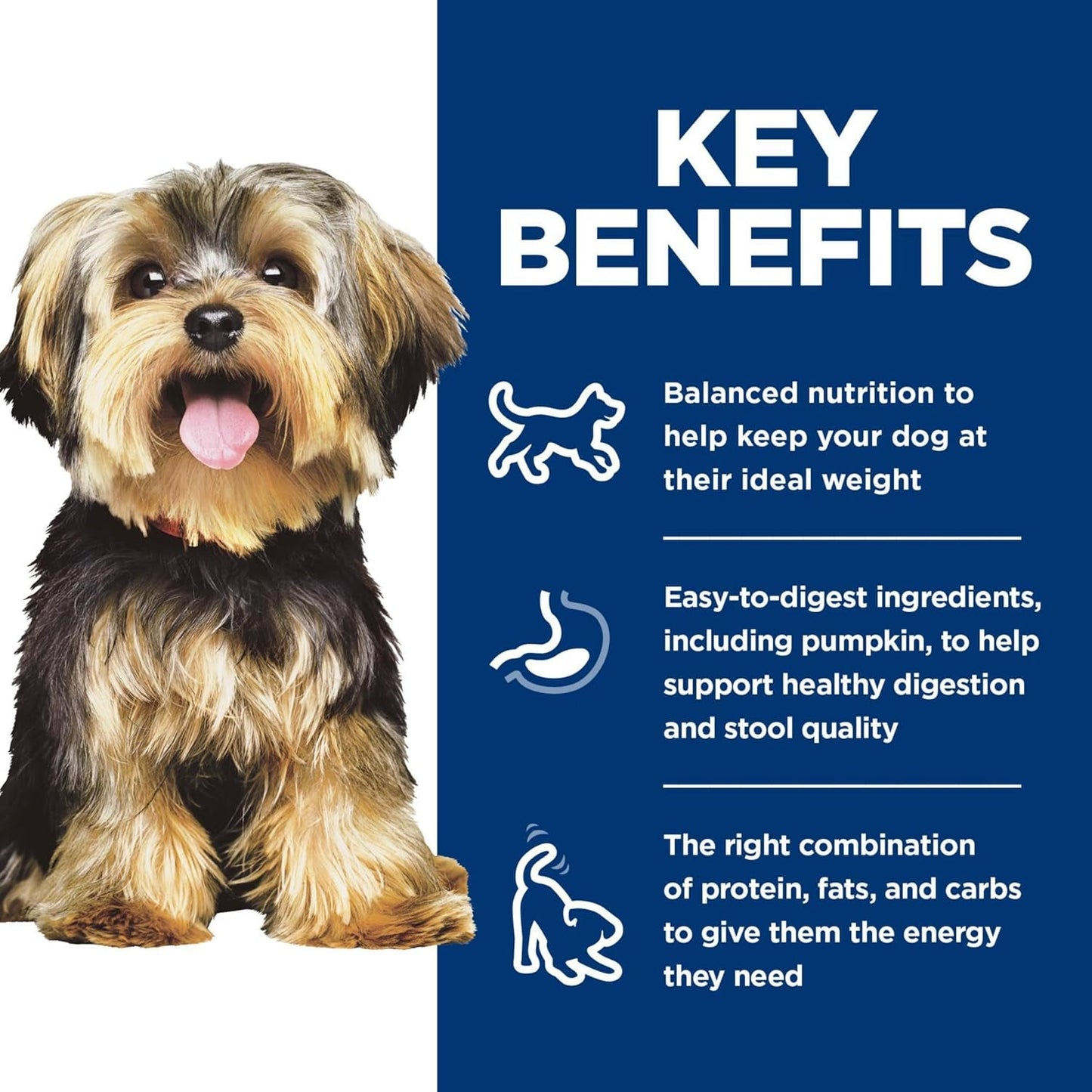 Small & Mini, Adult 1-6, Small & Mini Breeds Premium Nutrition, Wet Dog Food, Variety Pack: Chicken & Vegetables; Salmon & Vegetables Stew, 3.5 Oz Tray Variety Pack, Case of 12