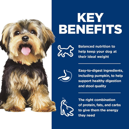 Small & Mini, Adult 1-6, Small & Mini Breeds Premium Nutrition, Wet Dog Food, Variety Pack: Chicken & Vegetables; Salmon & Vegetables Stew, 3.5 Oz Tray Variety Pack, Case of 12