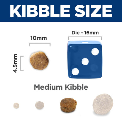 Sensitive Stomach & Skin, Puppy, Stomach & Skin Sensitivity Support, Dry Dog Food, Salmon & Brown Rice, 13 Lb Bag