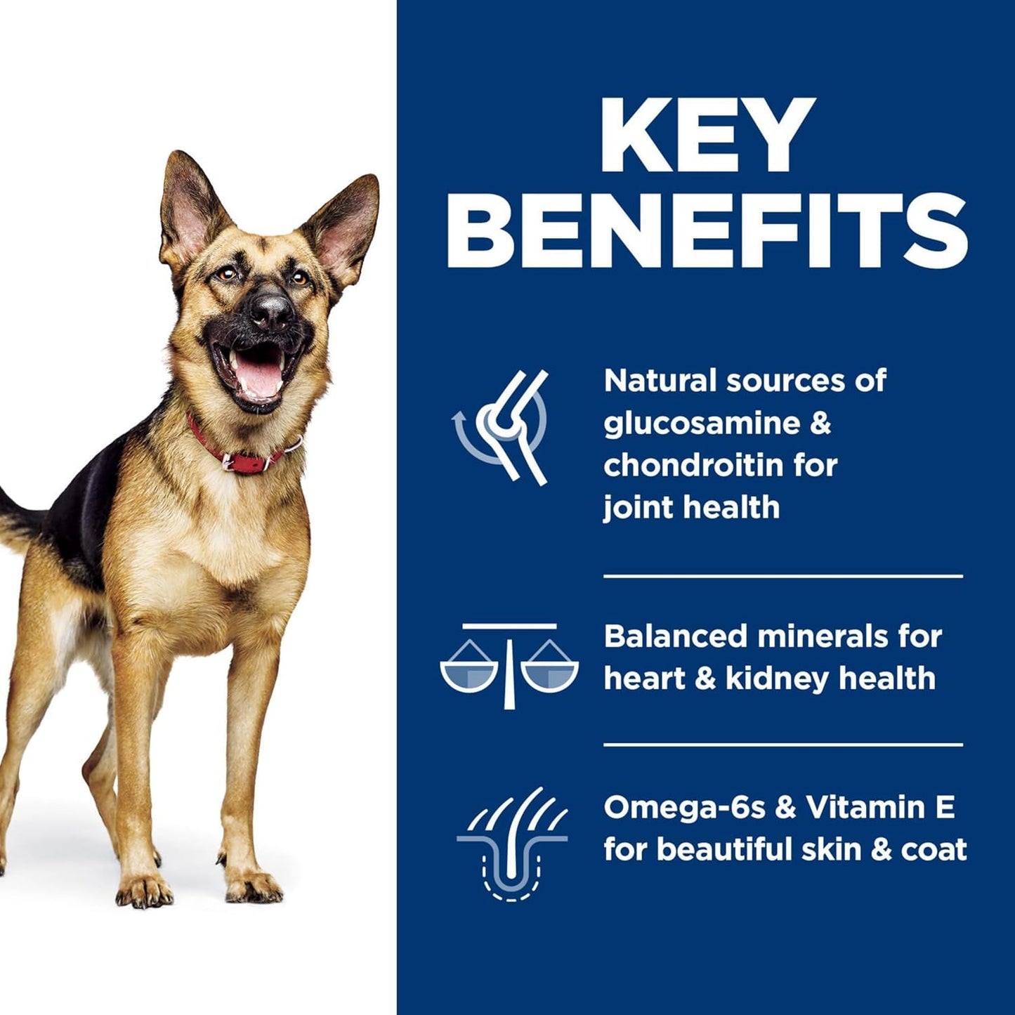 Large Breed Senior Dry Dog Food Adult 6+, Quality Protein for Joint Support & Lean Muscles, Chicken Recipe, 15 Lb. Bag