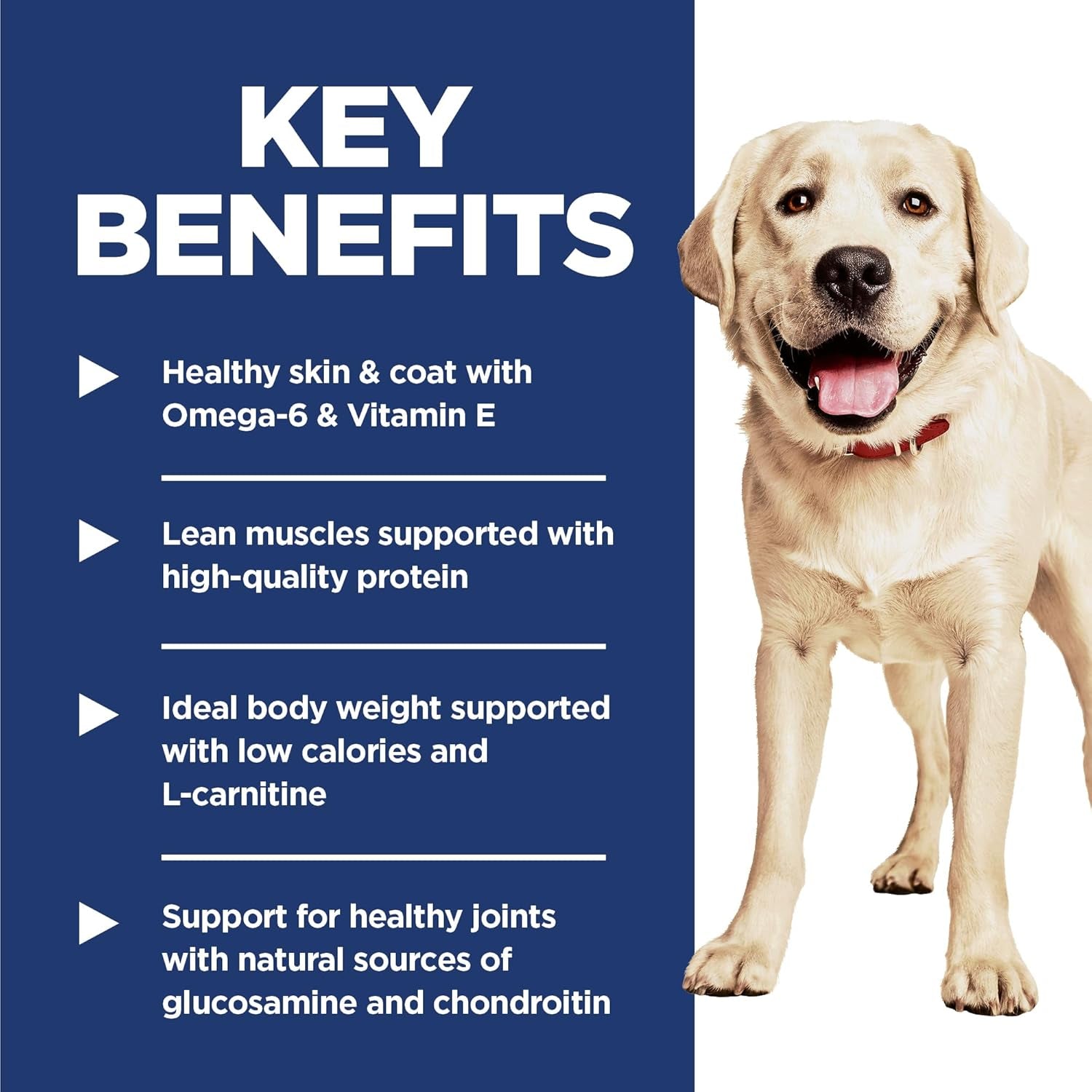 Large Breed Light Adult Dry Dog Food 1-5, Quality Protein for Weight Management Support, Chicken & Barley, 30 Lb. Bag