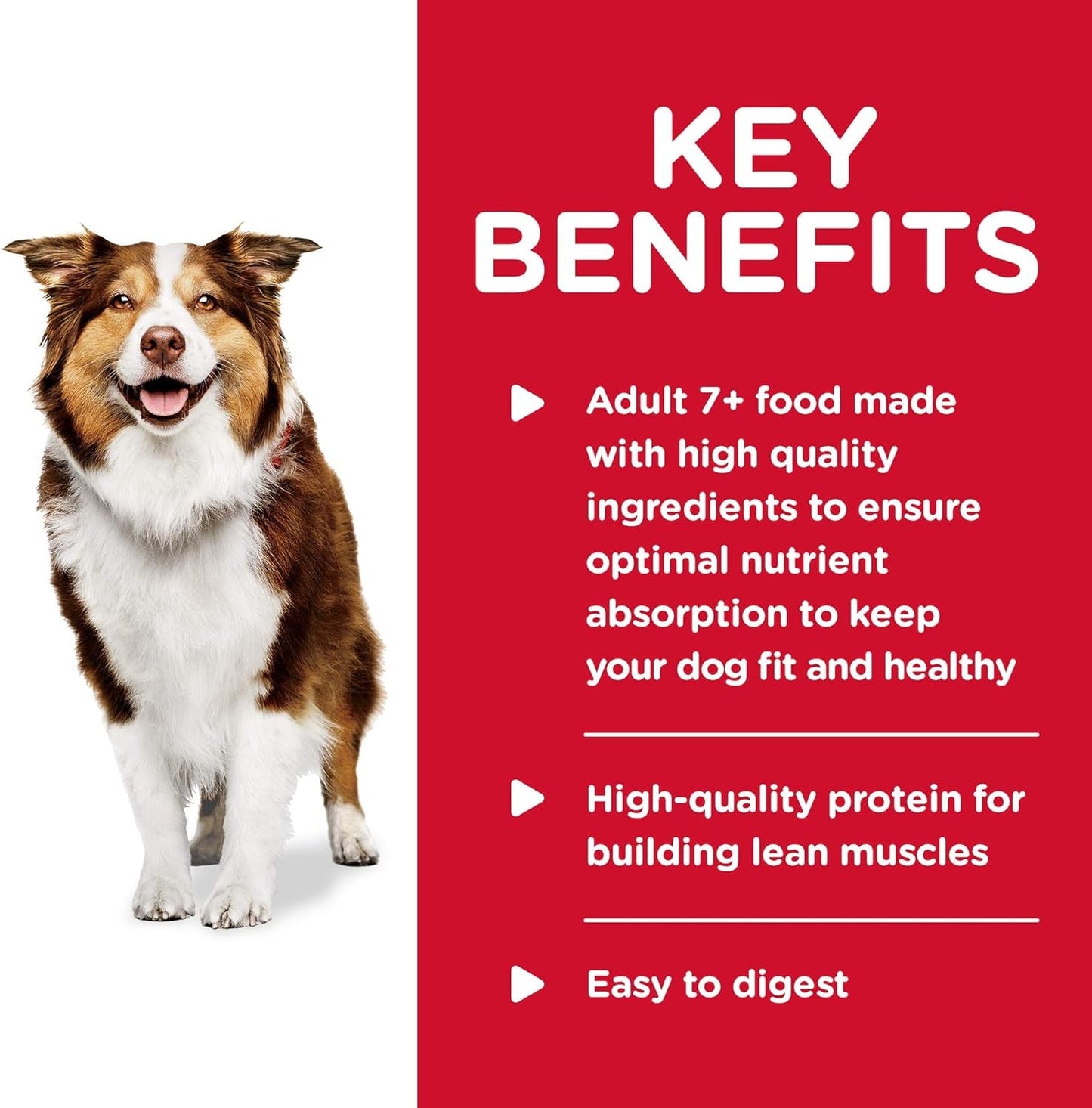 Healthy Cuisine, Senior Adult 7+, Senior Premium Nutrition, Wet Dog Food, Roasted Chicken, Carrots & Spinach Stew, 12.5 Oz Can, Case of 12