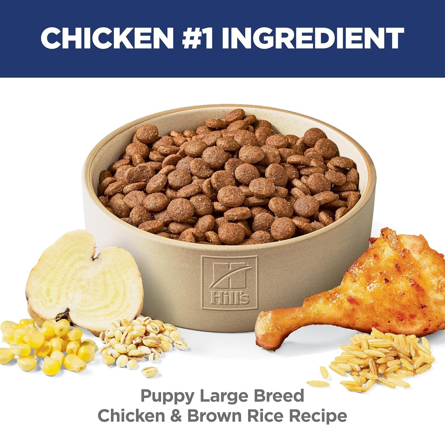 Large Breed Puppy Food, DHA to Support Healthy Development, Chicken & Brown Rice Dry Dog Food, 15.5 Lb. Bag