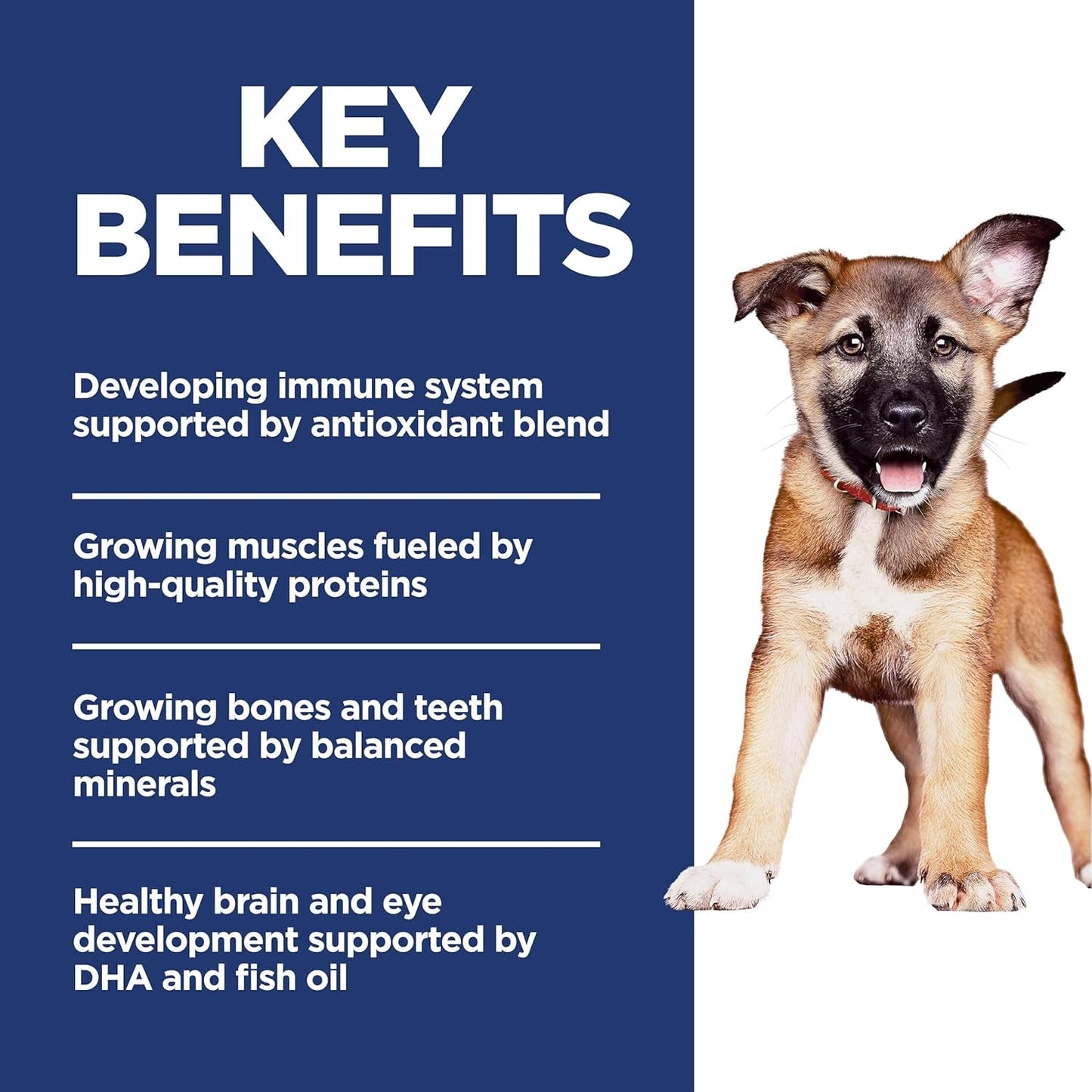 Large Breed Puppy Food, DHA to Support Healthy Development, Chicken & Brown Rice Dry Dog Food, 15.5 Lb. Bag