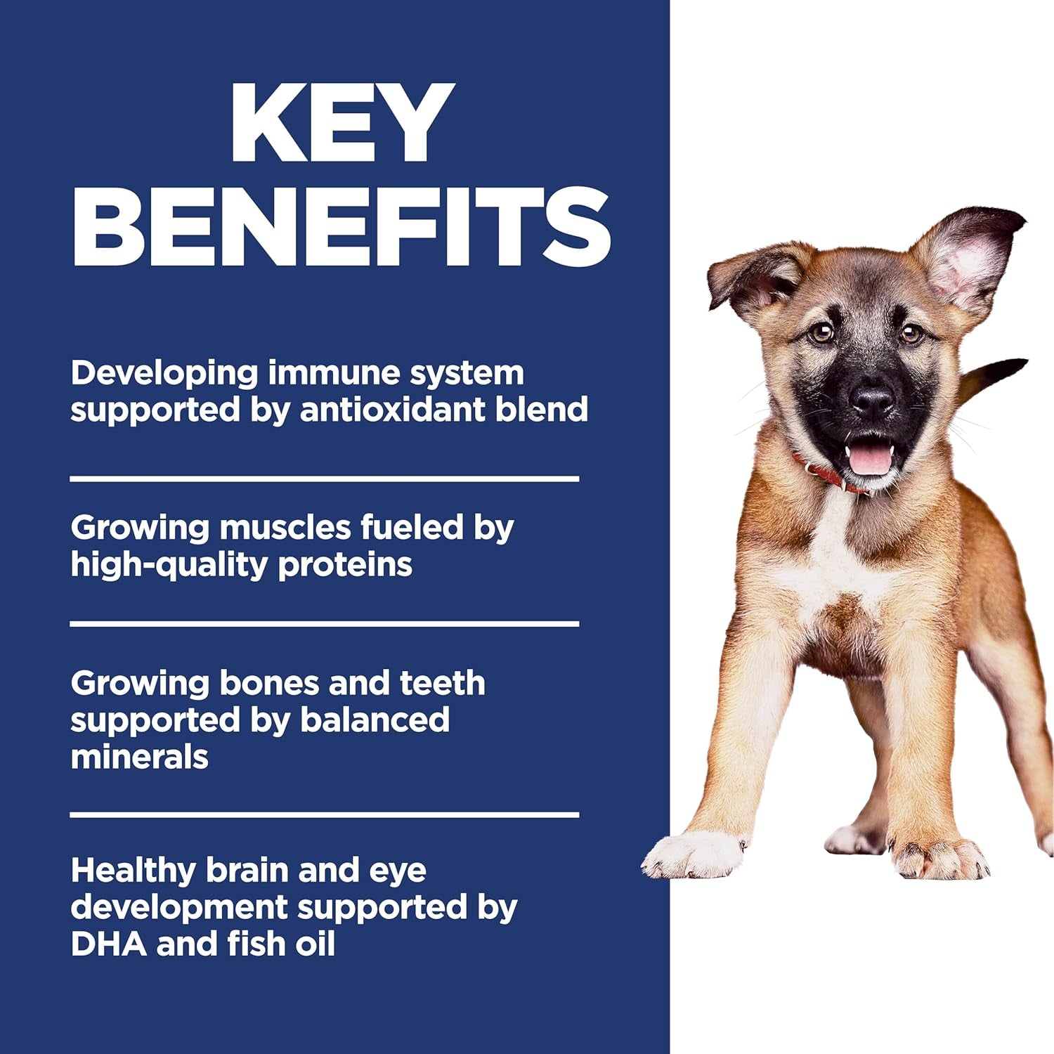 Large Breed Puppy Food, DHA to Support Healthy Development, Chicken & Brown Rice Dry Dog Food, 15.5 Lb. Bag