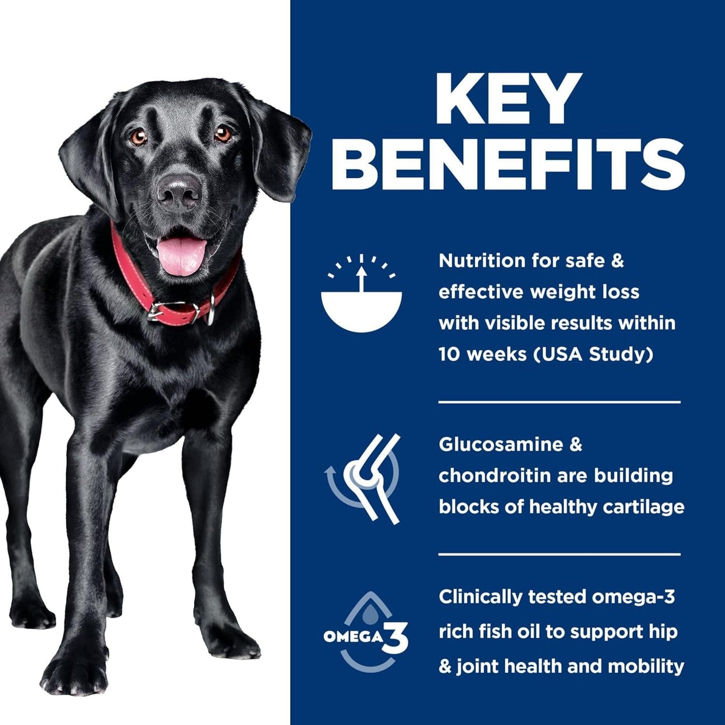 Perfect Weight & Joint Support Large Breed Adult Dry Dog Food 1-5,Quality Protein for Weight Management & Joint Support, Chicken & Brown Rice, 25 Lb. Bag