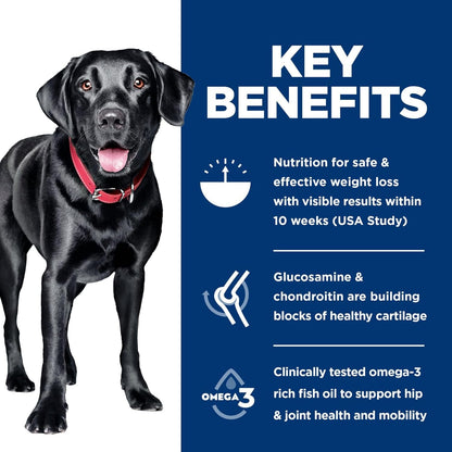 Perfect Weight & Joint Support Large Breed Adult Dry Dog Food 1-5,Quality Protein for Weight Management & Joint Support, Chicken & Brown Rice, 25 Lb. Bag