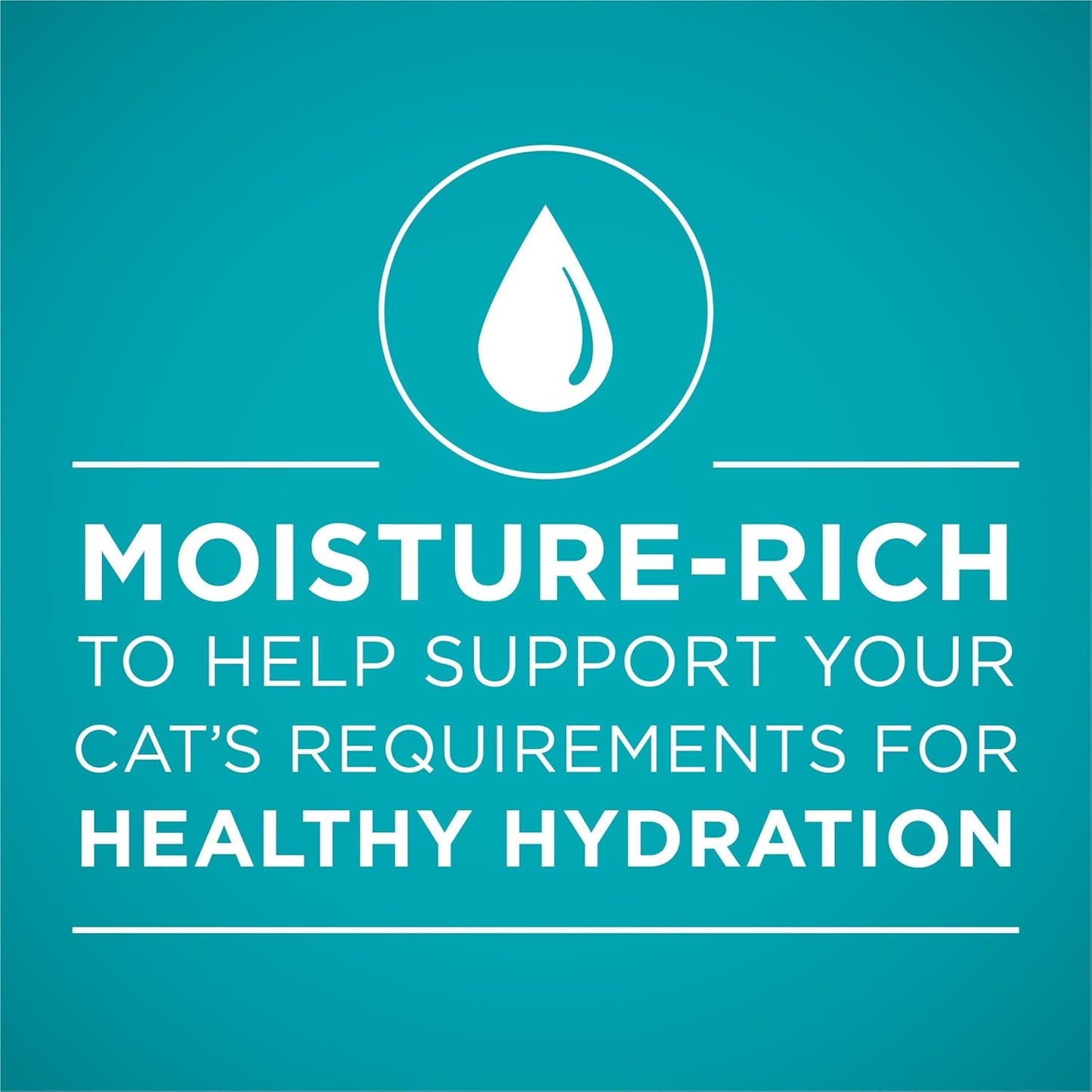 Natural, High Protein Cat Food Variety Pack, Turkey, Chicken and Tuna Recipes - (2 Packs of 12) 3 Oz. Cans